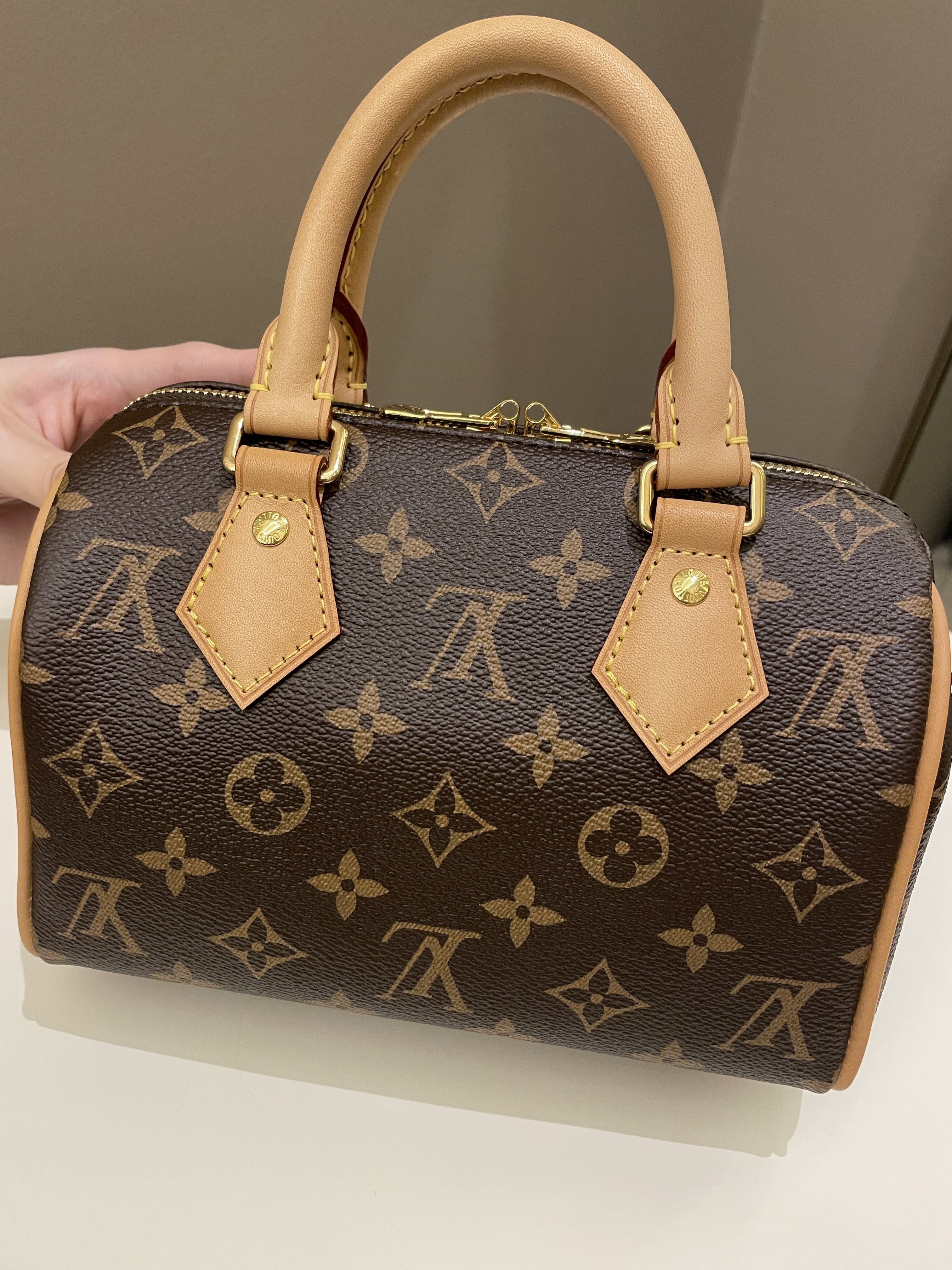 Louis Vuitton Speedy 20 Classic Monogram