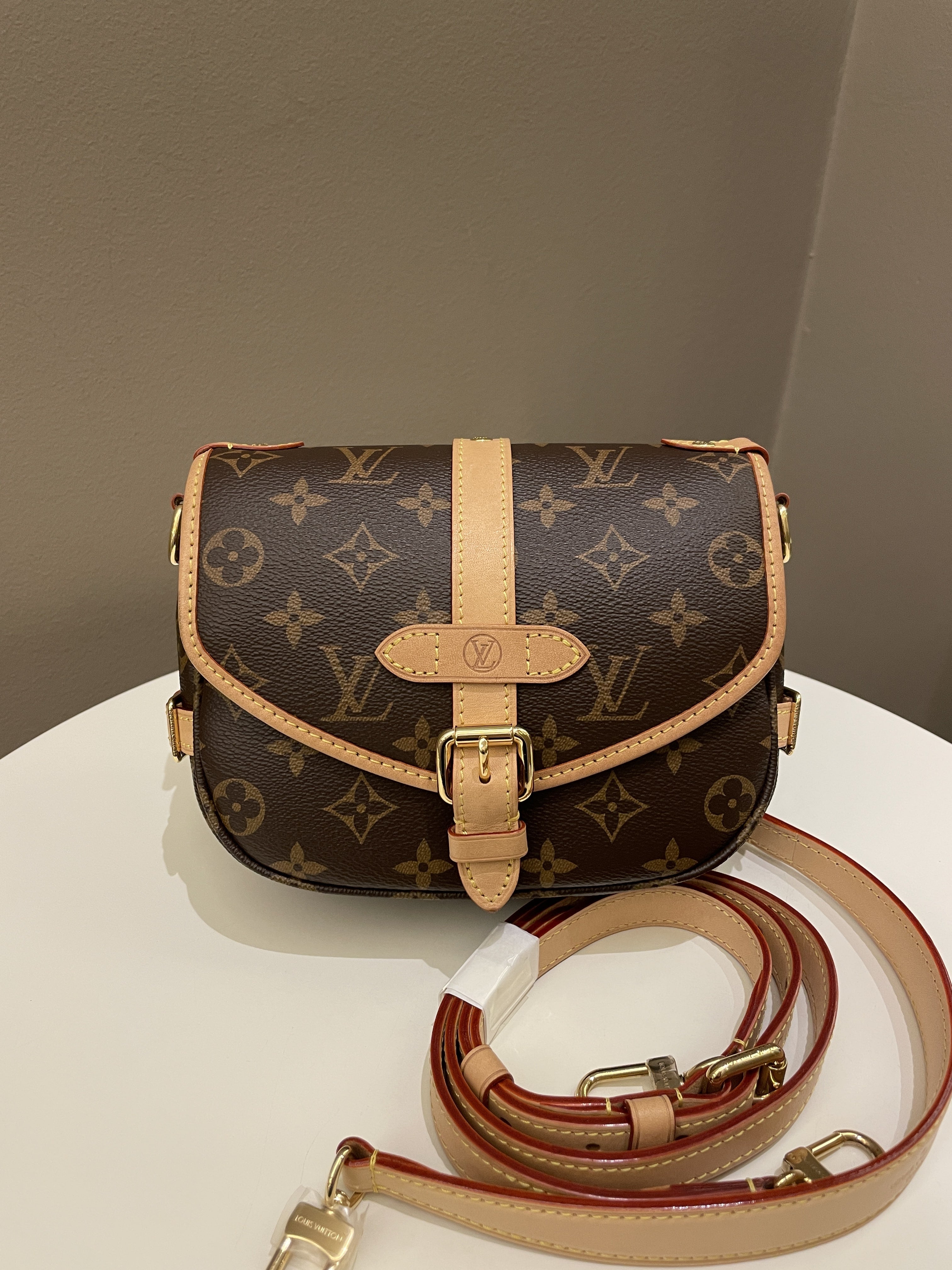 Louis Vuitton Saumur BB Monogram