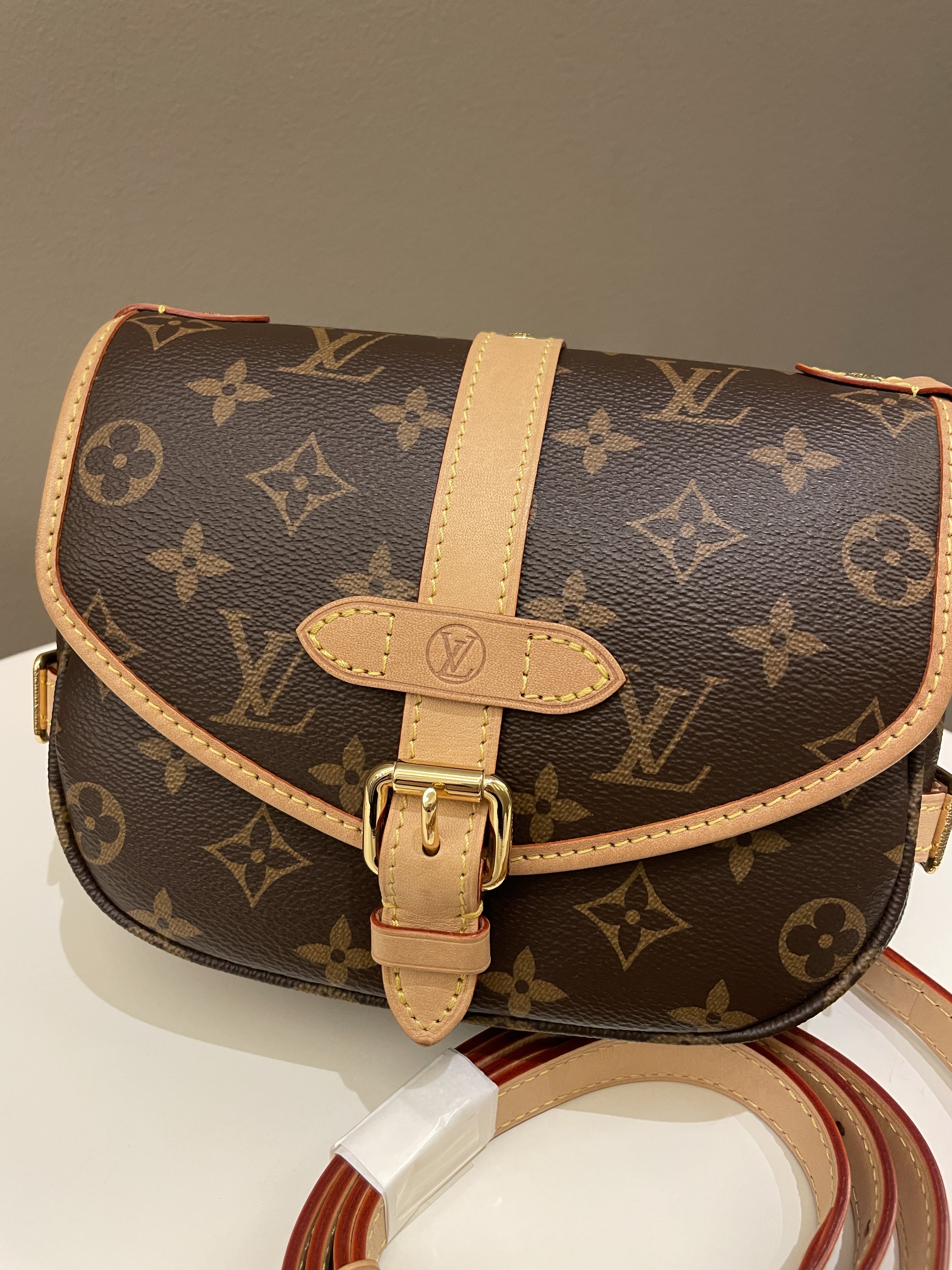 Louis Vuitton Saumur BB Monogram