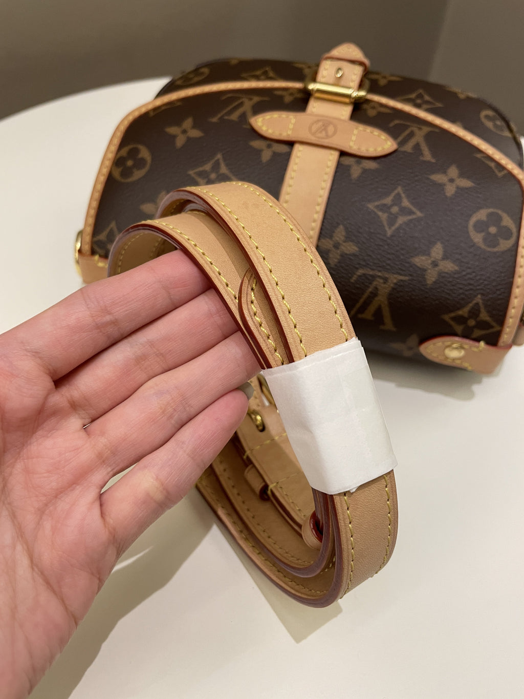 Louis Vuitton Saumur BB Monogram