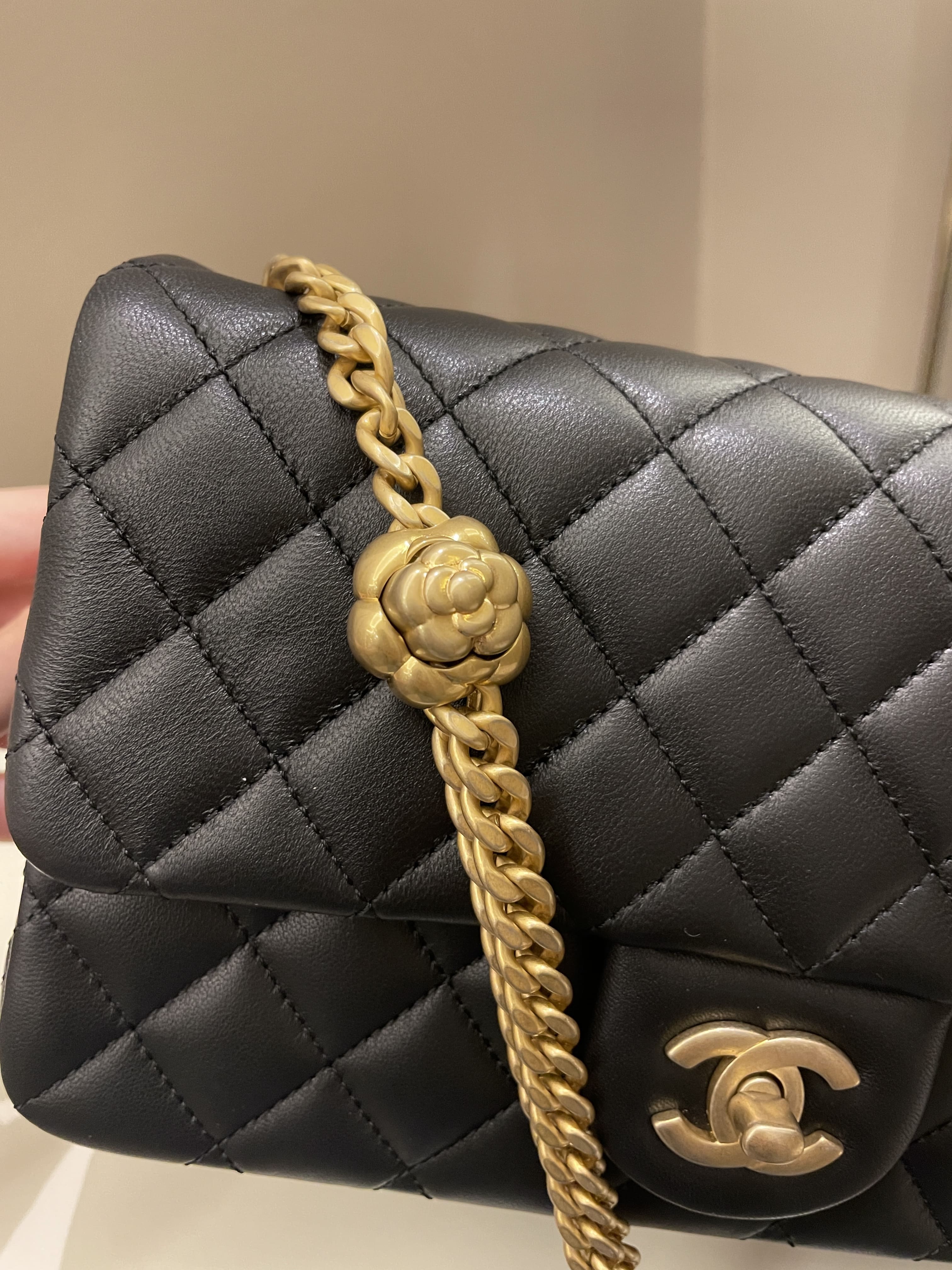 Chanel 23S Camellia Black Stiff Lambskin