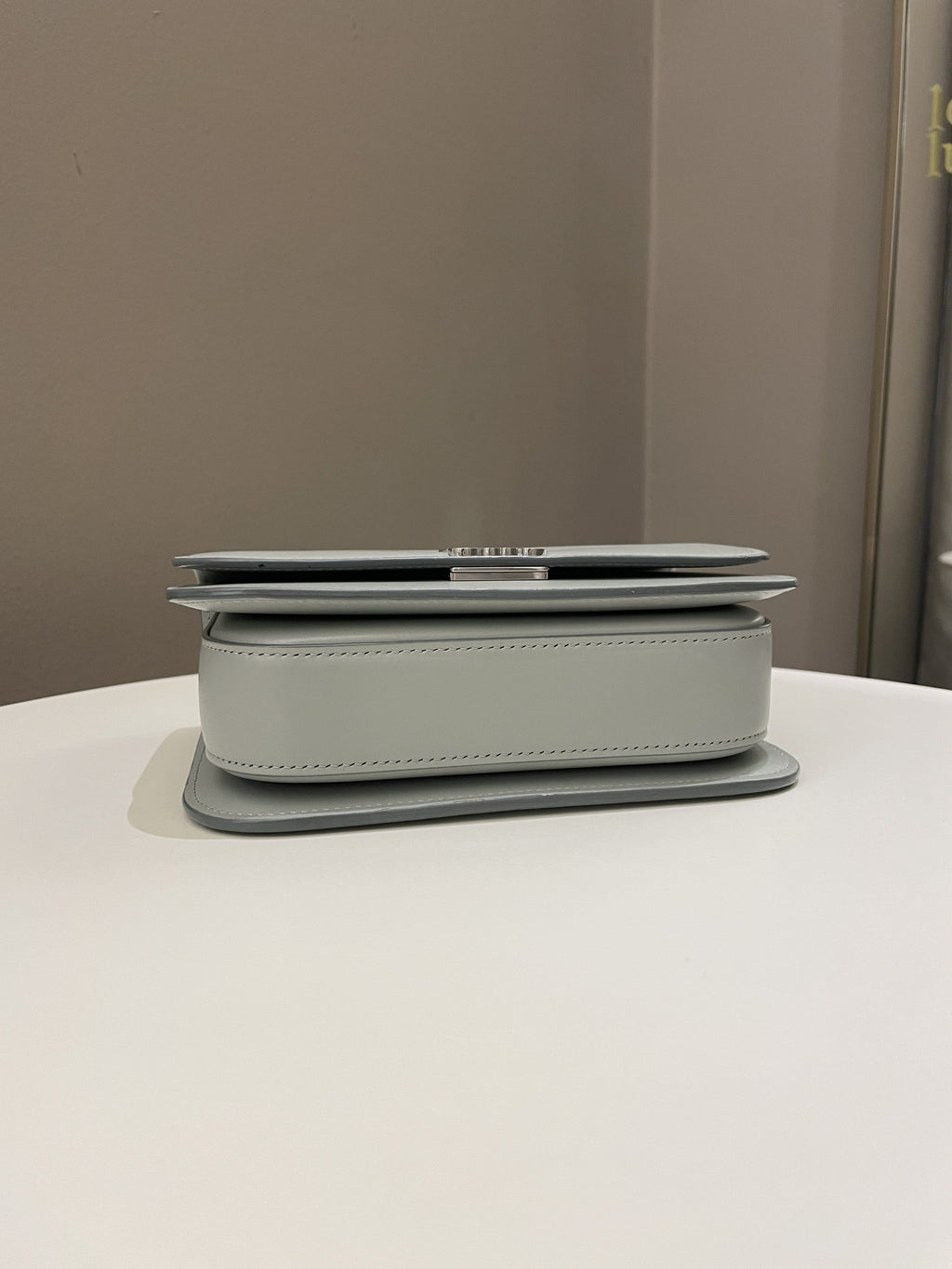 Loewe Goya Bag Ash Grey Calf