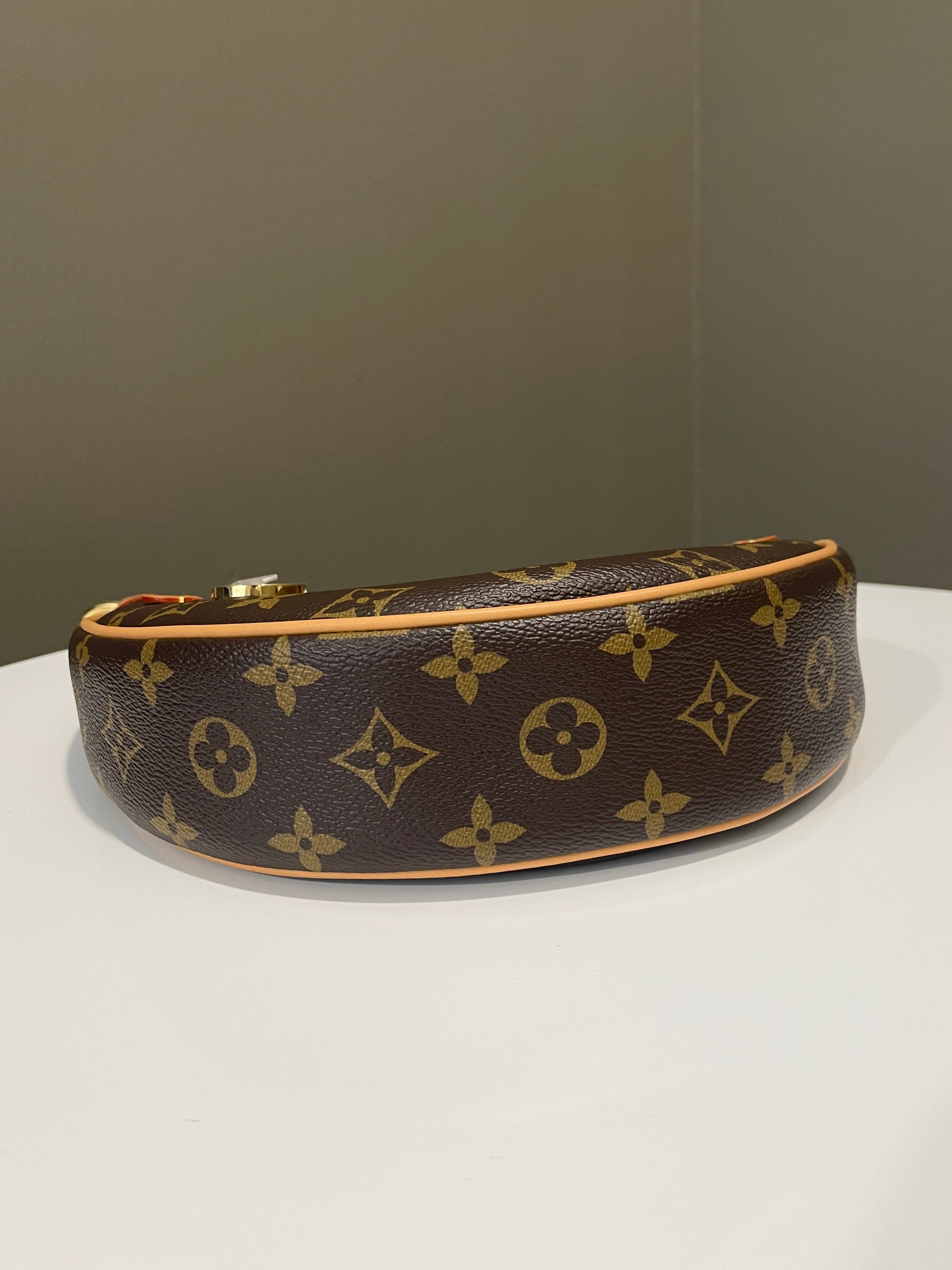 Louis Vuitton Loop Bag Monogram