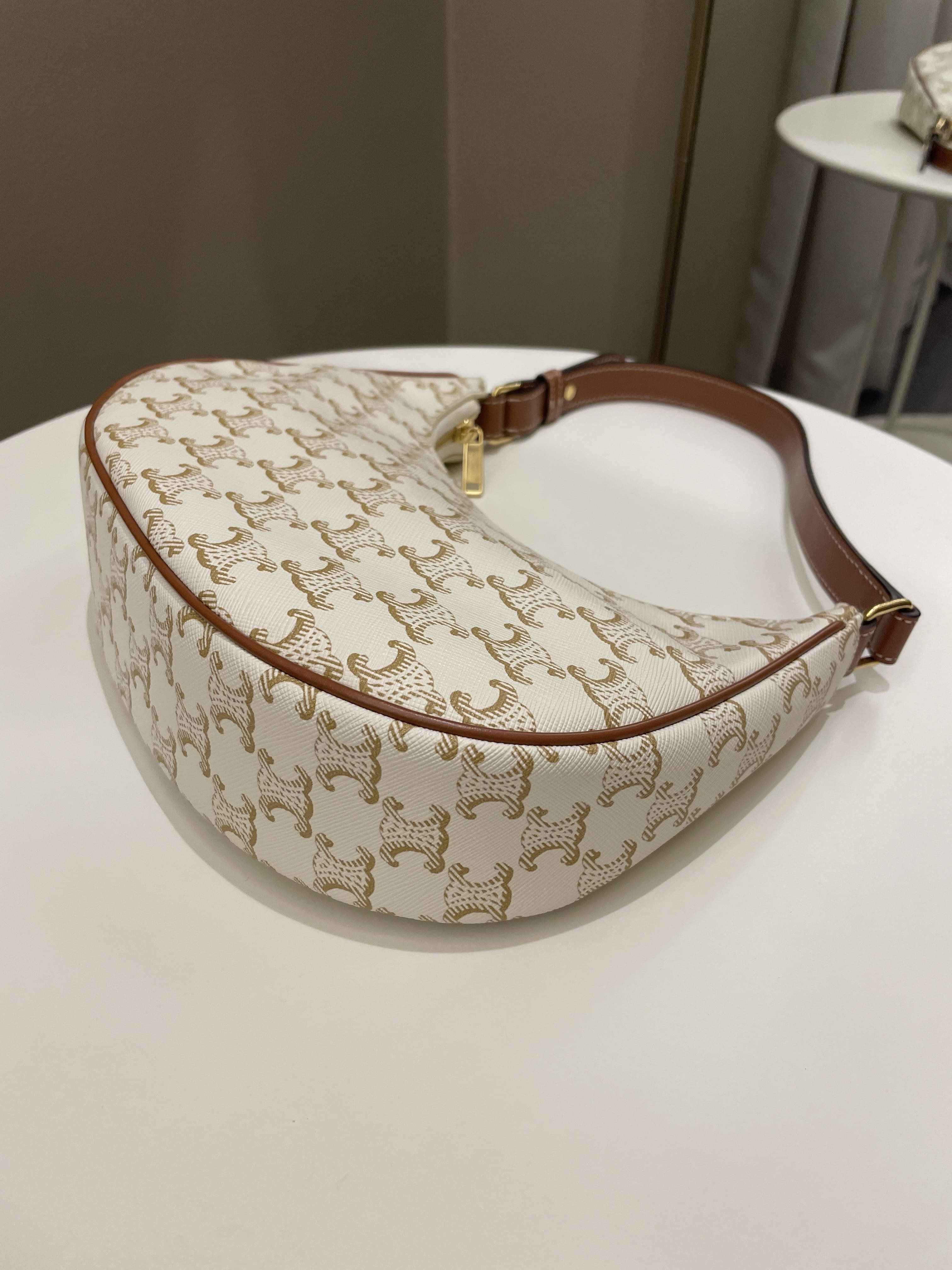 Celine Ava Triomphe Triomphe Canvas