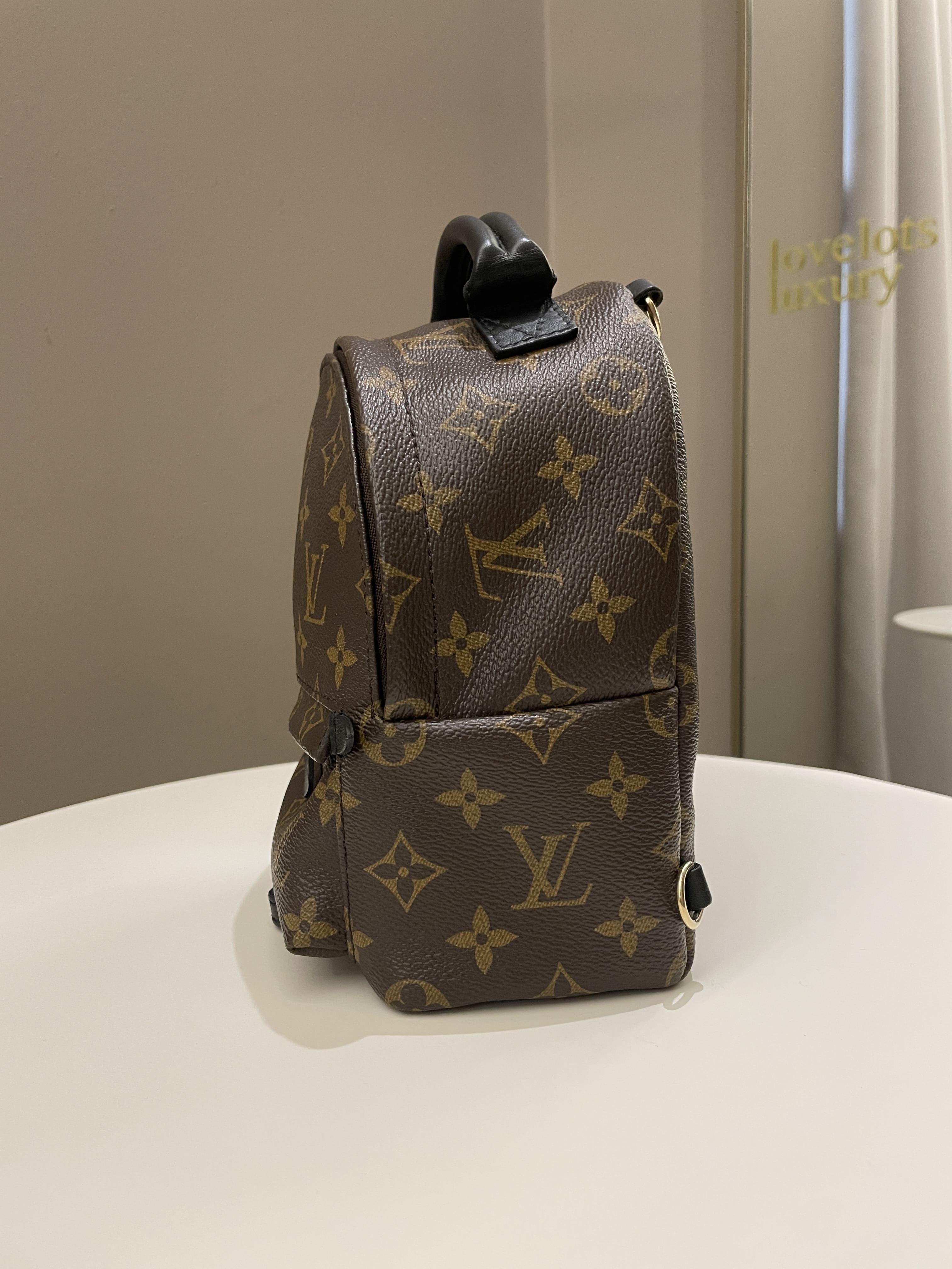 Louis Vuitton Palm Spring Mini Backpack Classic Monogram