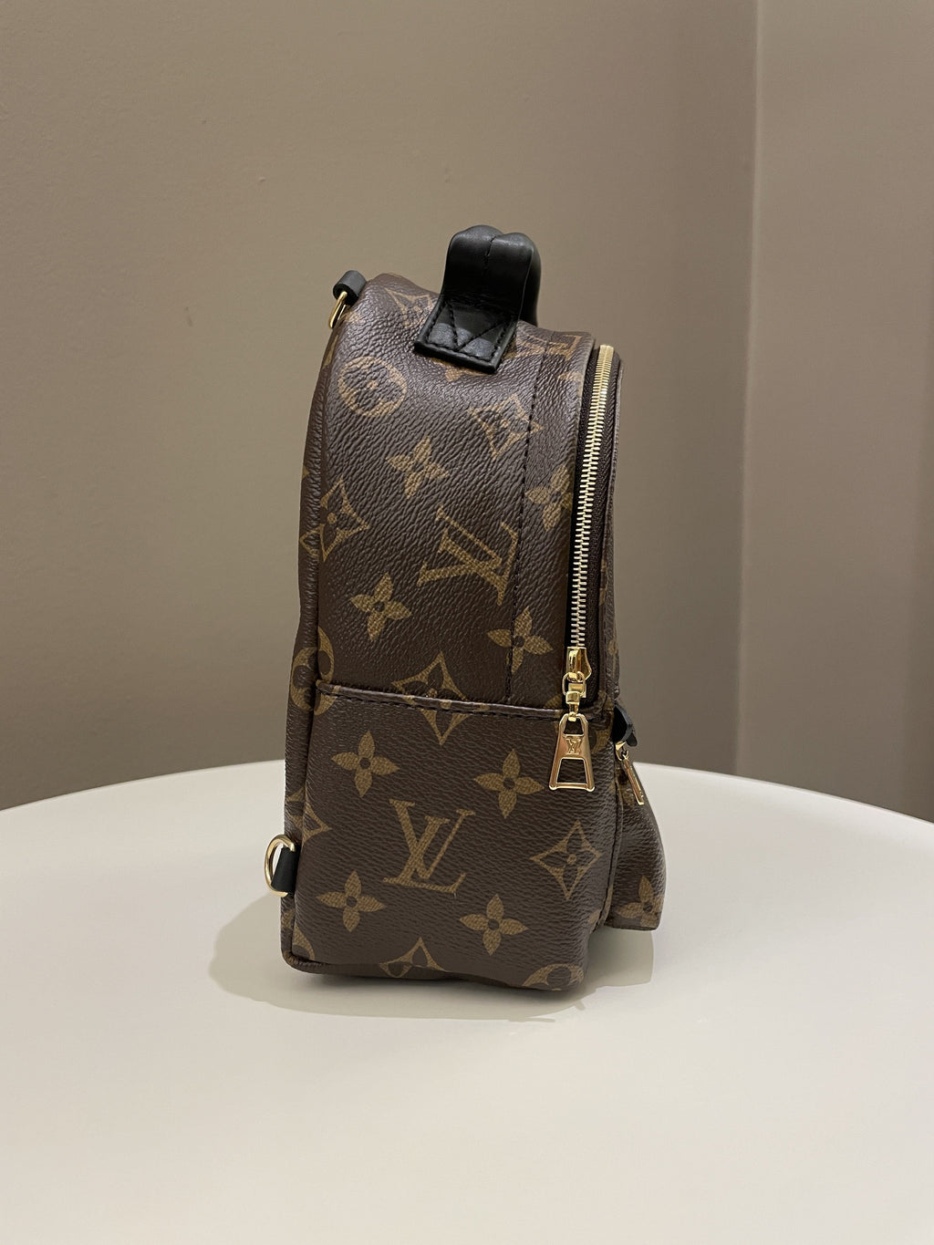 Louis Vuitton Palm Spring Mini Backpack Classic Monogram