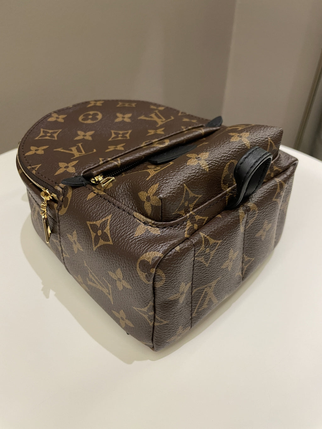 Louis Vuitton Palm Spring Mini Backpack Classic Monogram