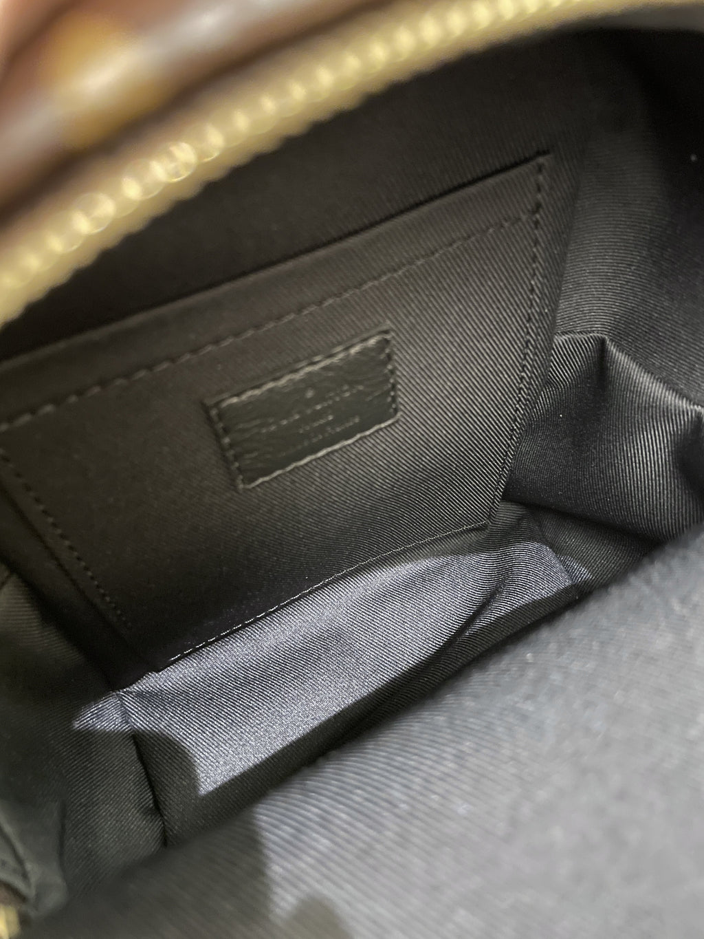 Louis Vuitton Palm Spring Mini Backpack Classic Monogram