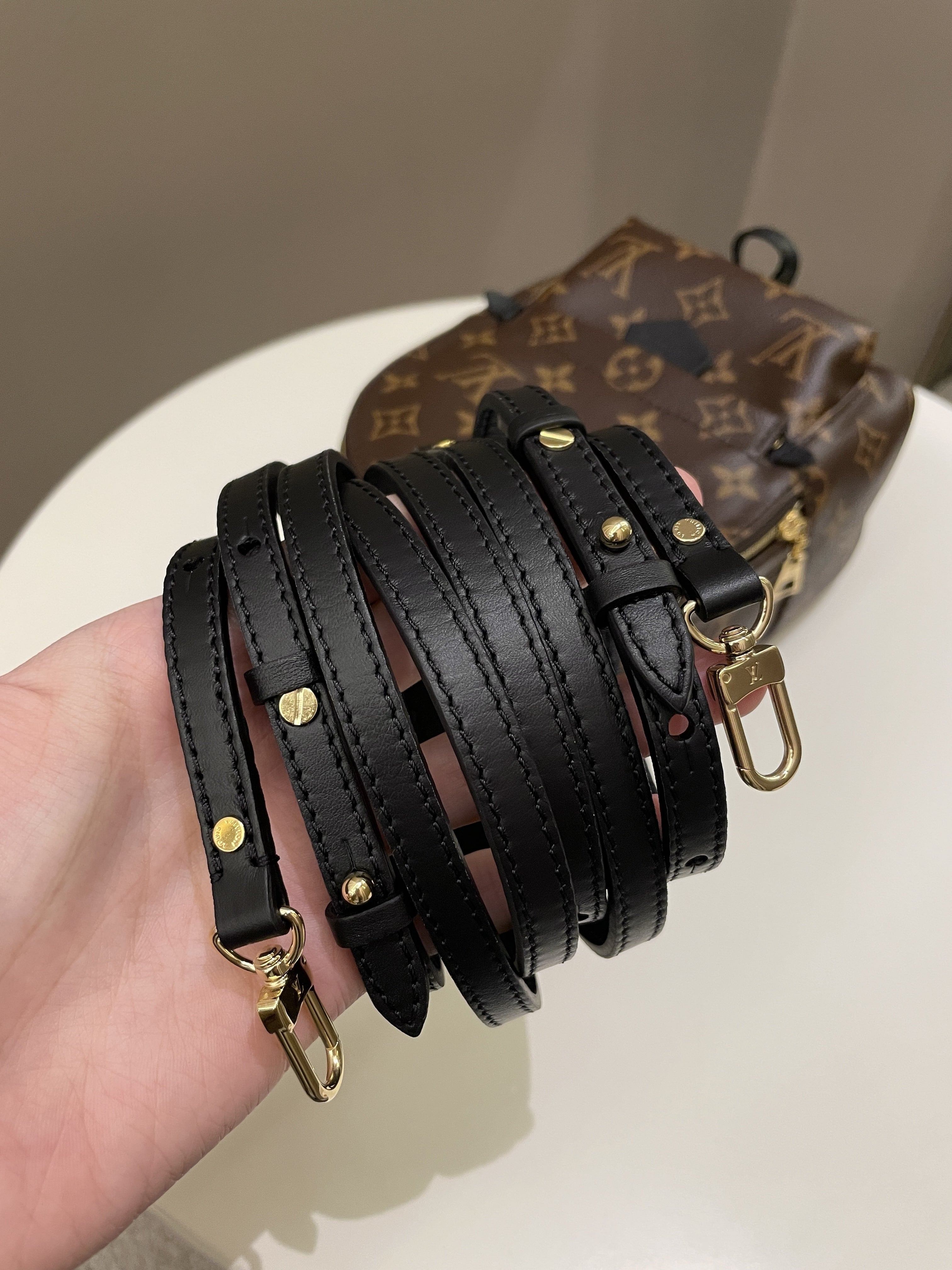 Louis Vuitton Palm Spring Mini Backpack Classic Monogram