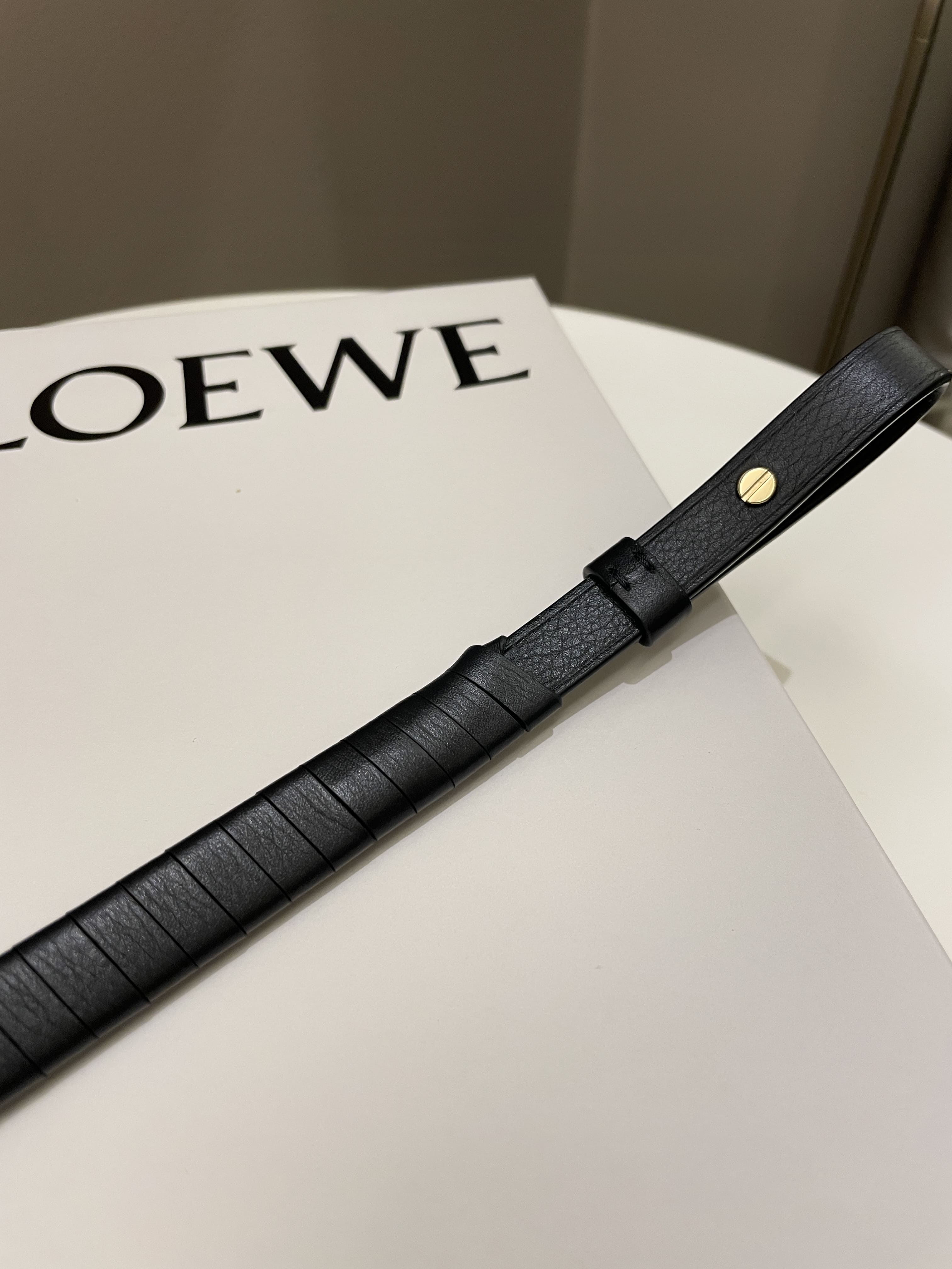 Loewe Hammock Hobo Mini + Spiral Woven Strap Black Calf