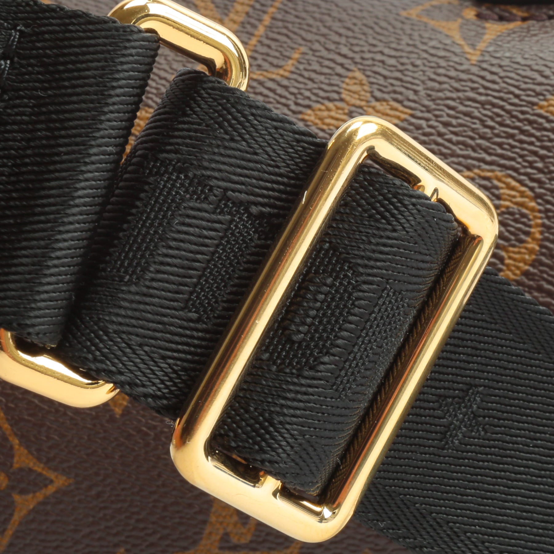 LOUIS VUITTON Monogram Petite Malle Souple