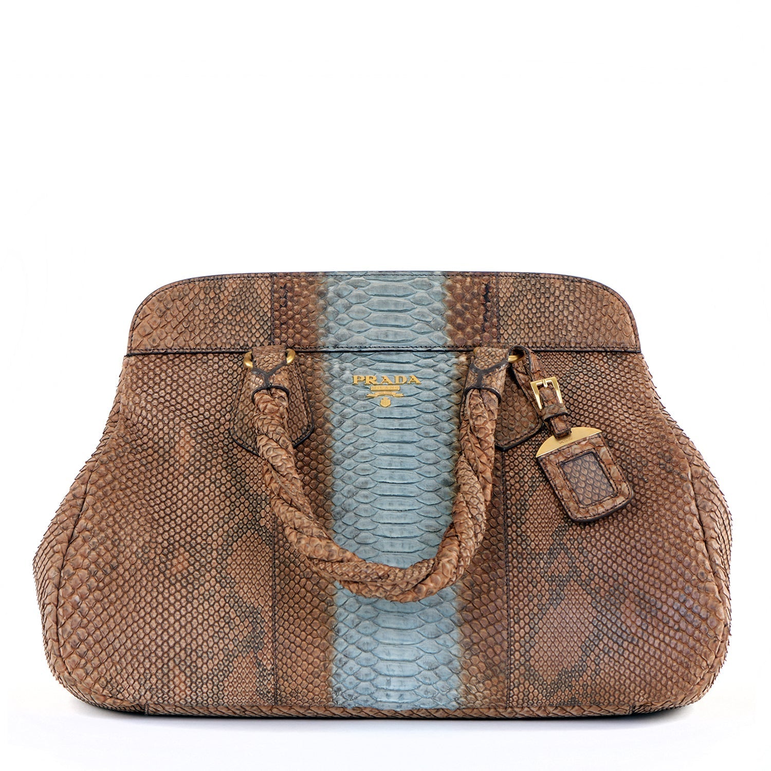 Large Snakeskin Frame Bag