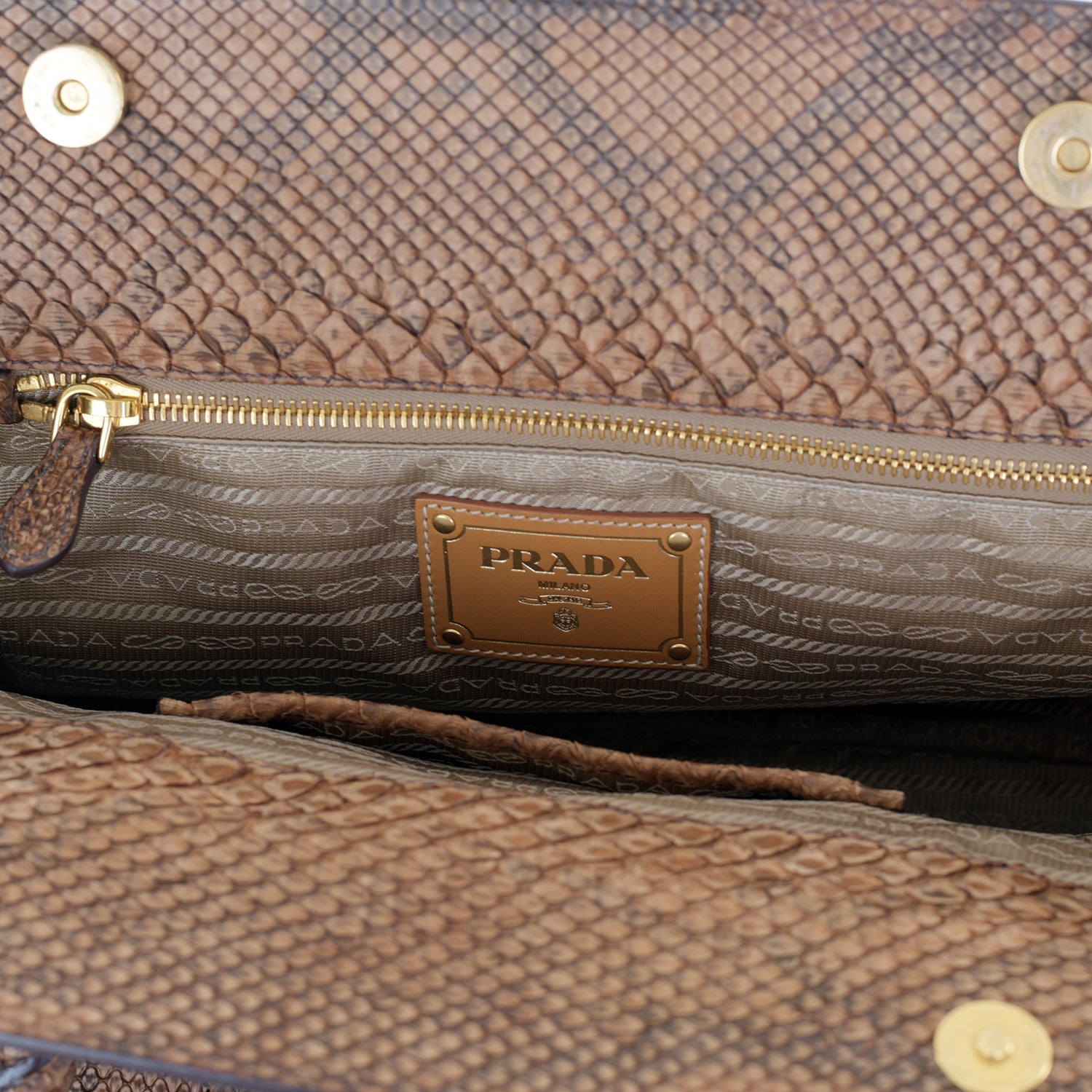 Large Snakeskin Frame Bag