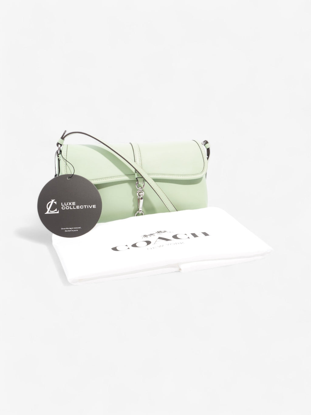 Coach Hamptons Bag Pale Pistachio Leather