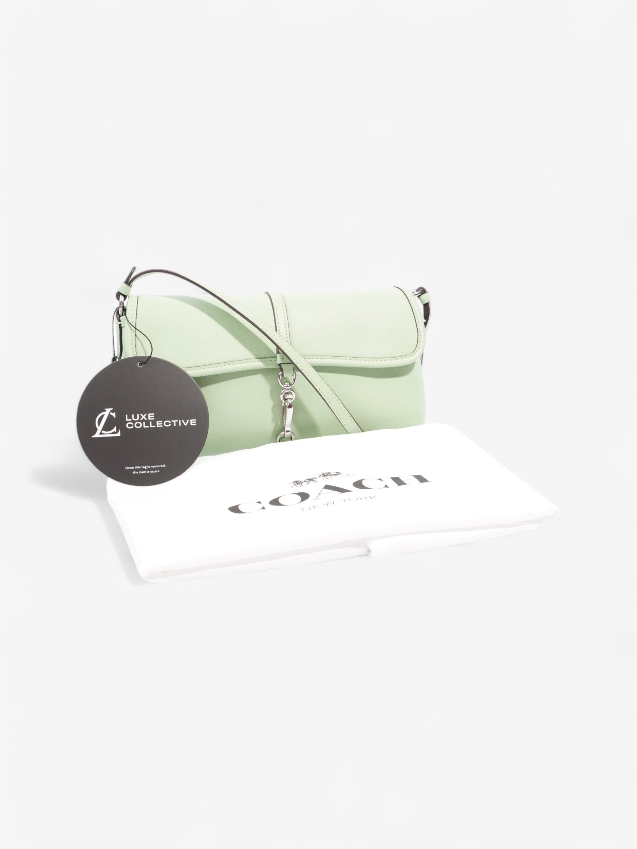 Coach Hamptons Bag Pale Pistachio Leather