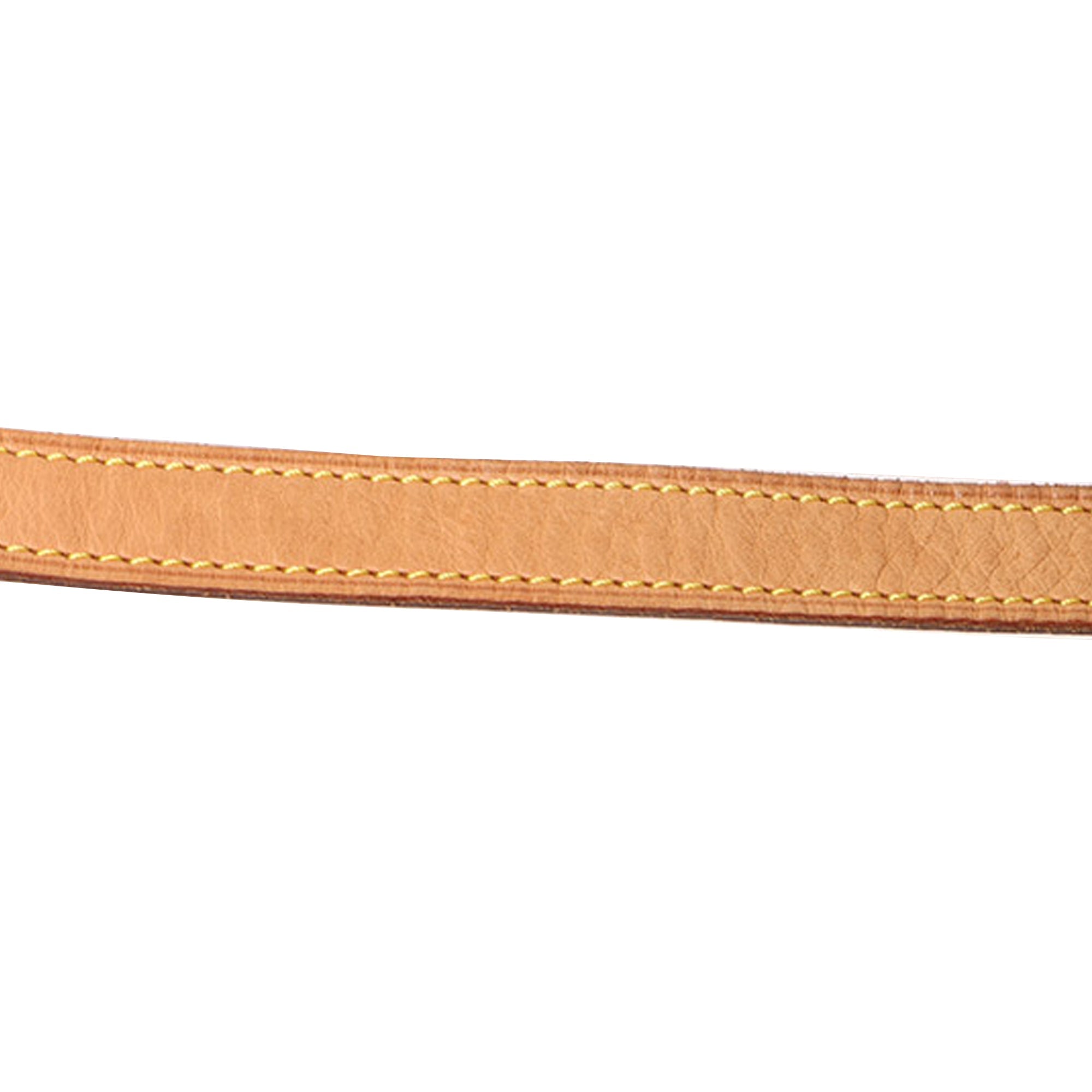 Louis Vuitton Sac Tambourine Monogram Canvas
