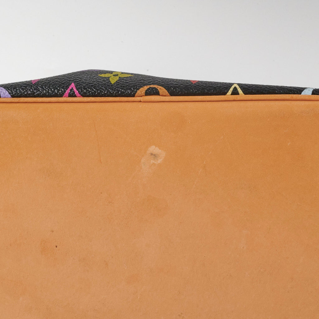 Louis Vuitton Black Multicolour Bucket Bag