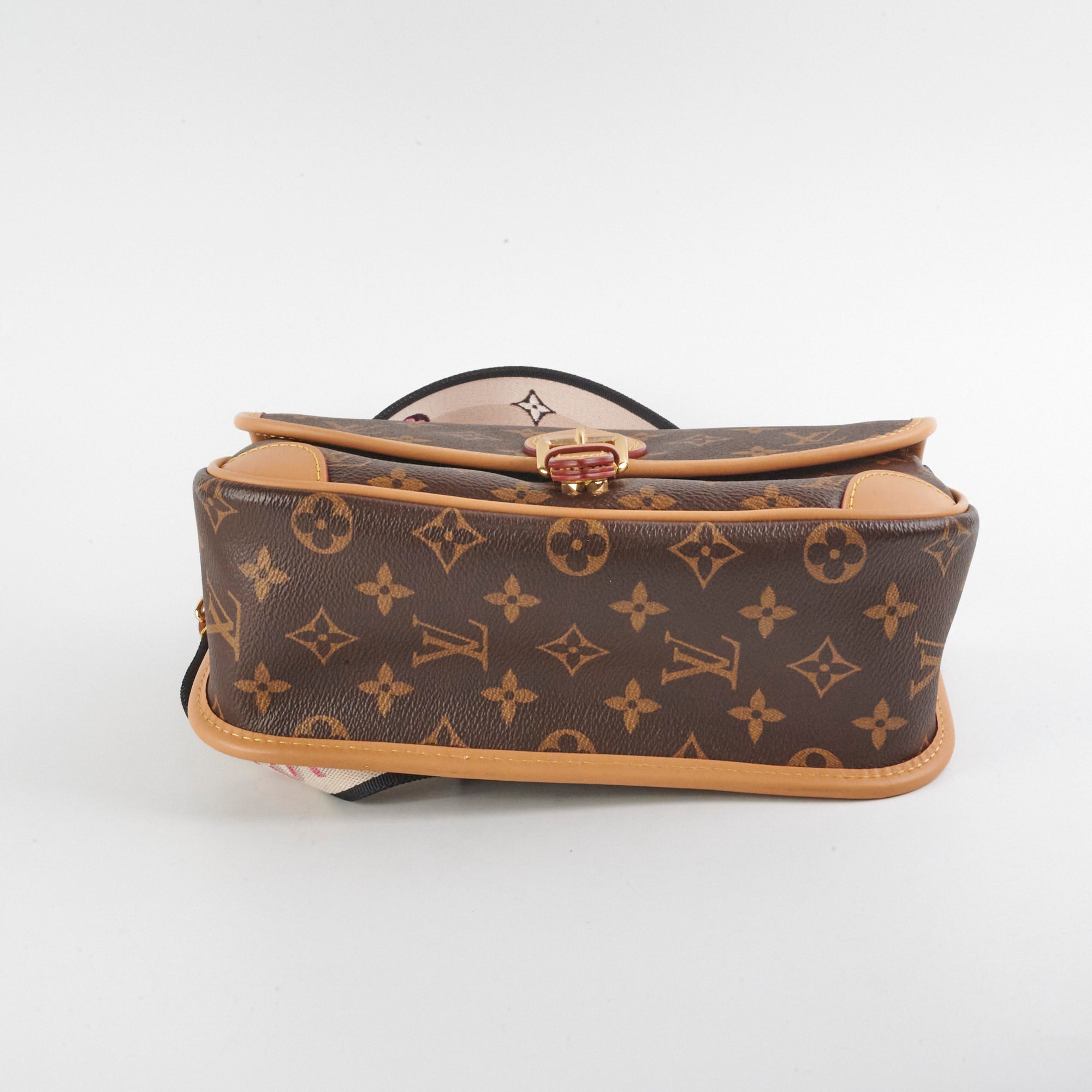 Louis Vuitton Diane PM Monogram
