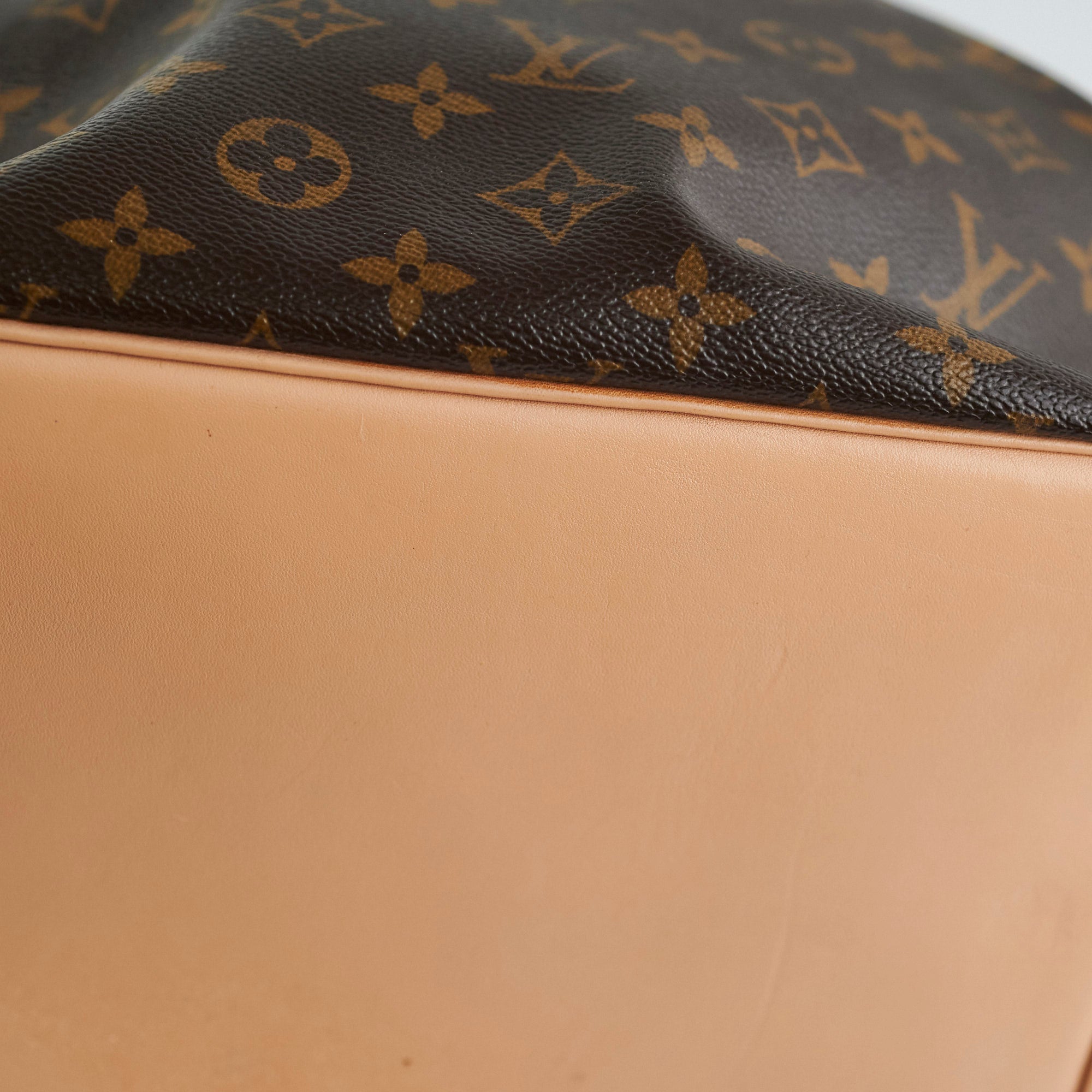Louis Vuitton Monogram Bucket