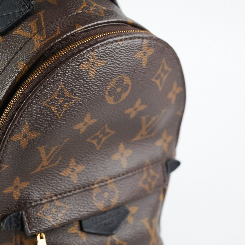 Louis Vuitton Palm Spring Mini Monogram