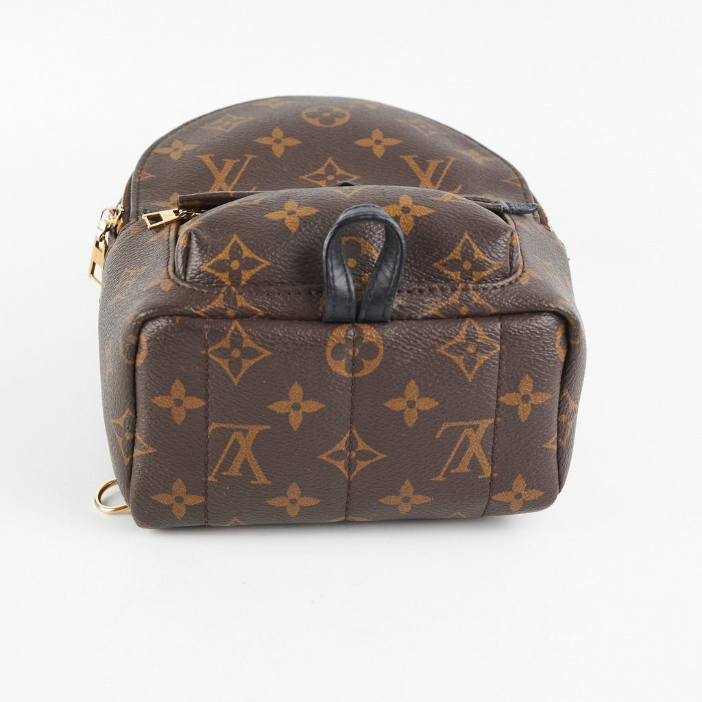 Louis Vuitton Palm Spring Mini Monogram