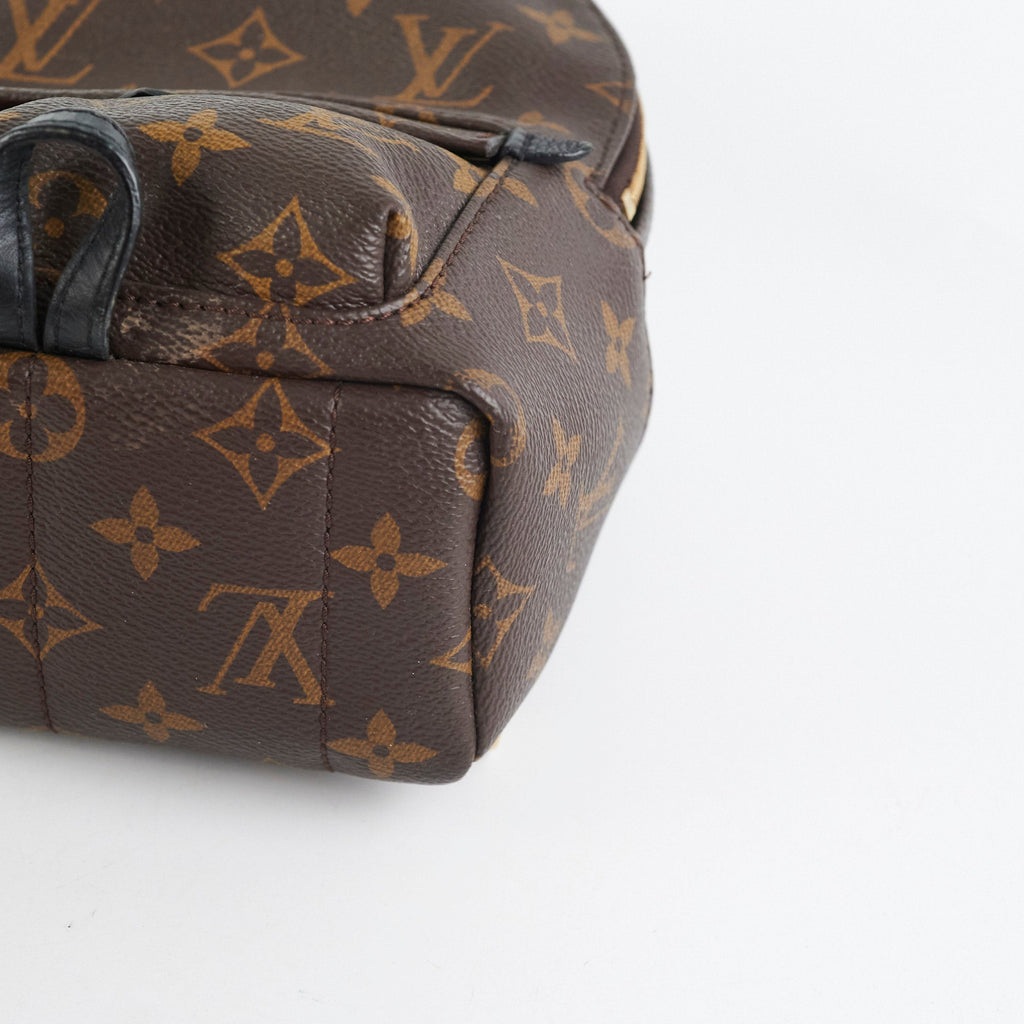 Louis Vuitton Palm Spring Mini Monogram