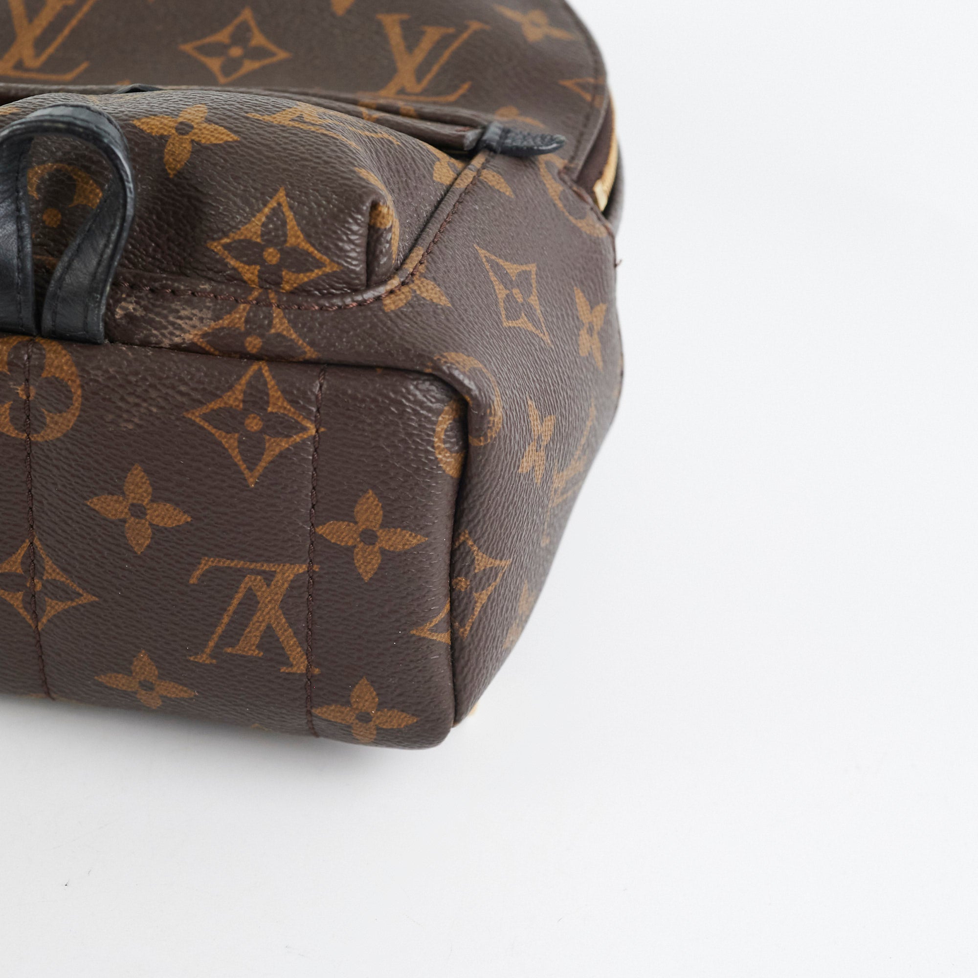 Louis Vuitton Palm Spring Mini Monogram