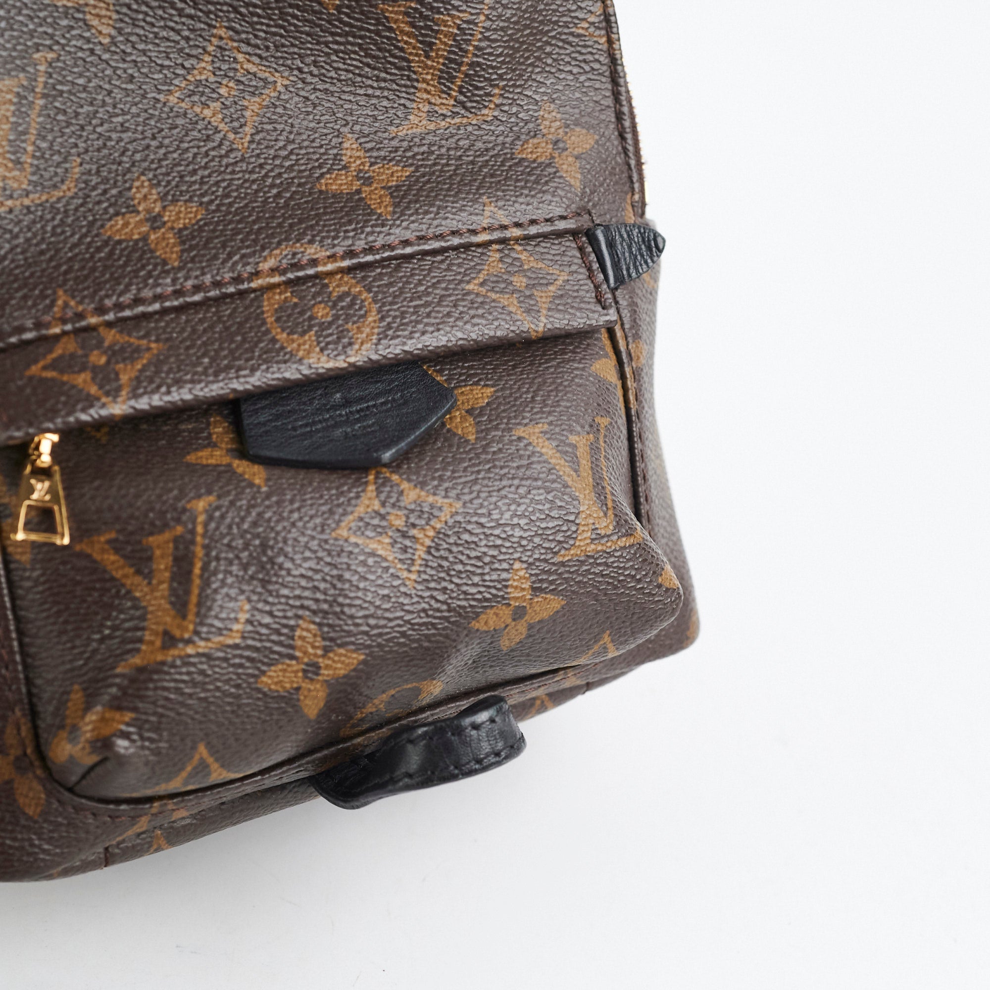 Louis Vuitton Palm Spring Mini Monogram