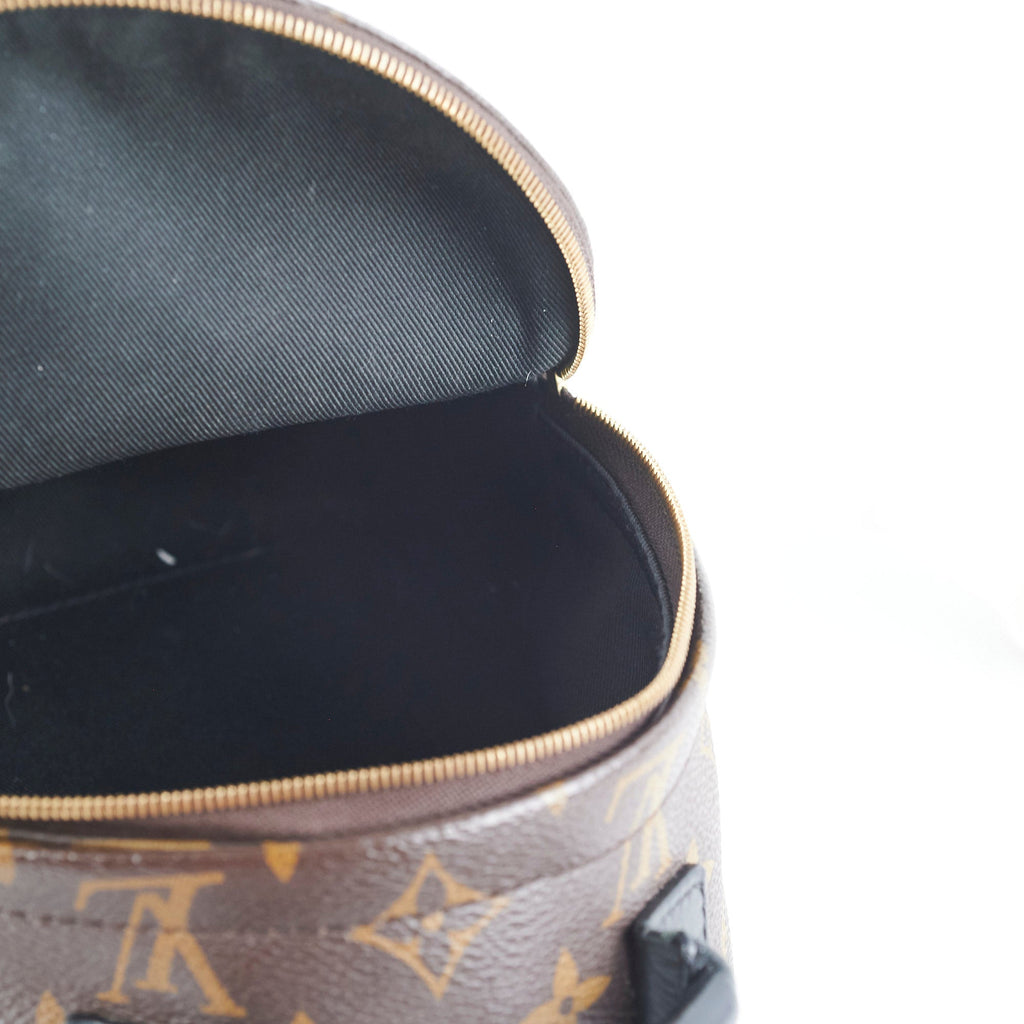 Louis Vuitton Palm Spring Mini Monogram