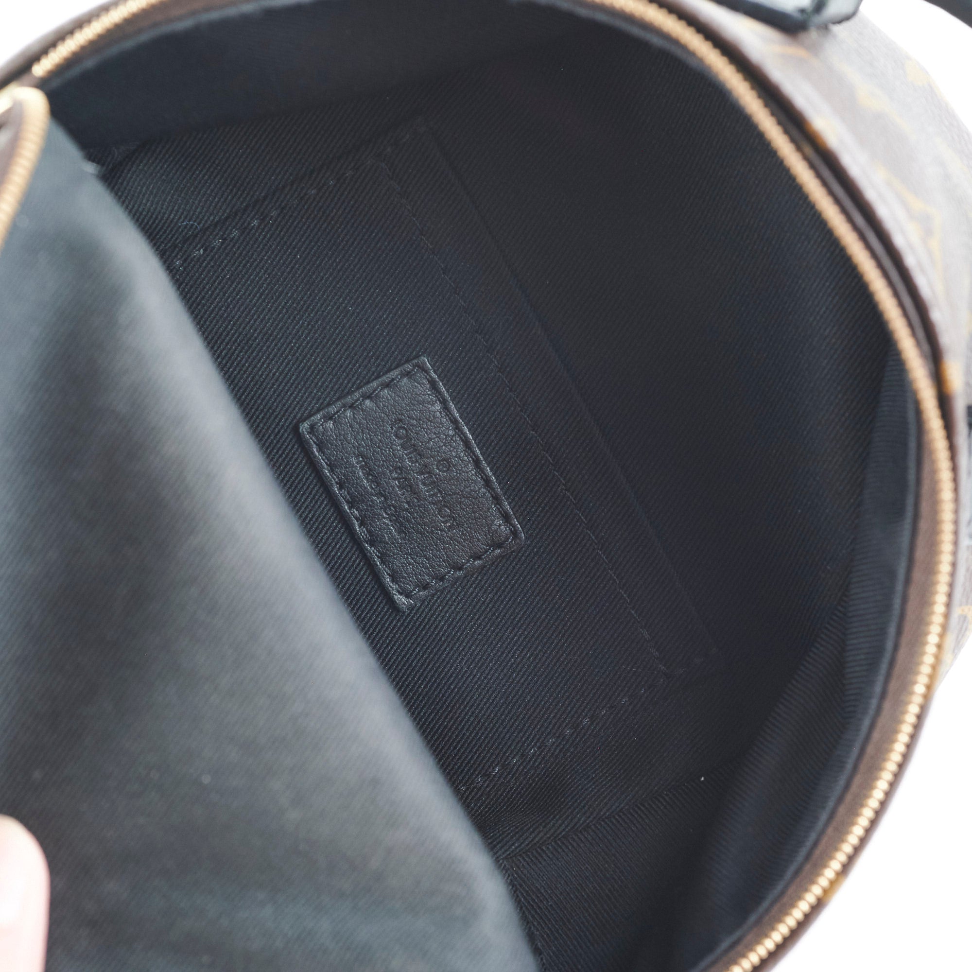 Louis Vuitton Palm Spring Mini Monogram