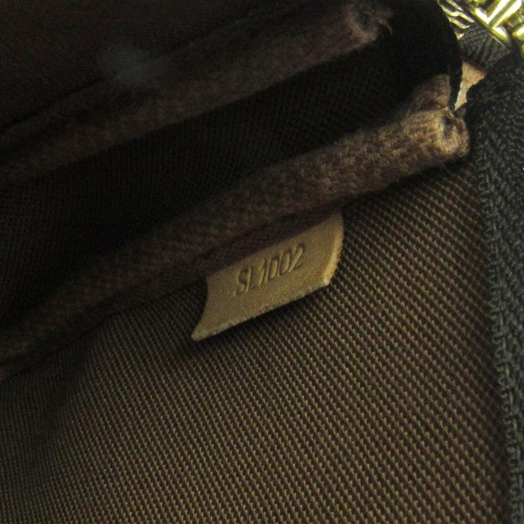 Louis Vuitto Pochette Accessoires Monogram Canvas Bag