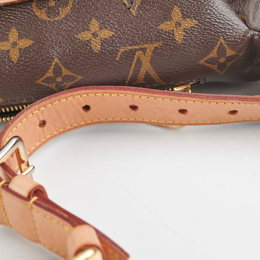 Louis Vuitton Bum Bag MM Monogram