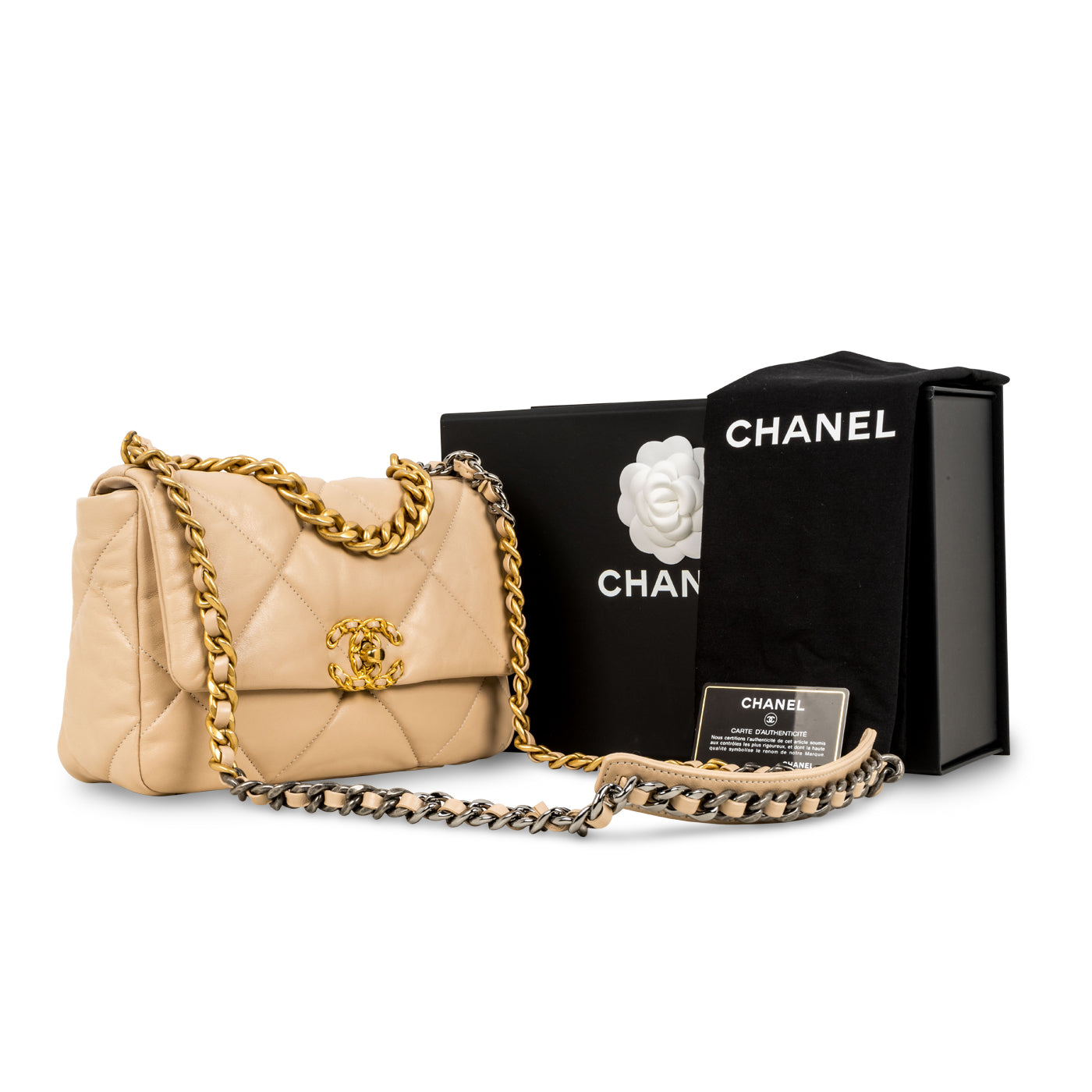 Chanel Chanel 19 Flap Bag - Small