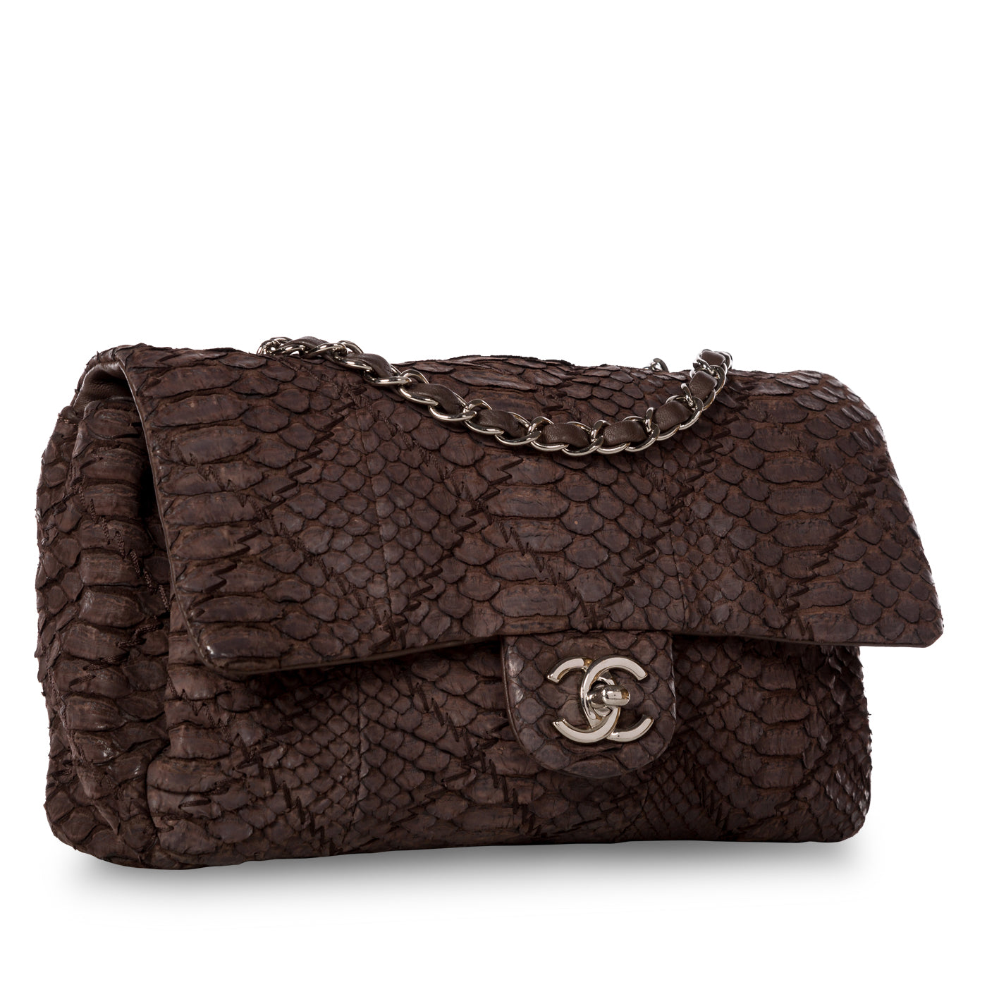 Chanel Classic Flap Bag - Python