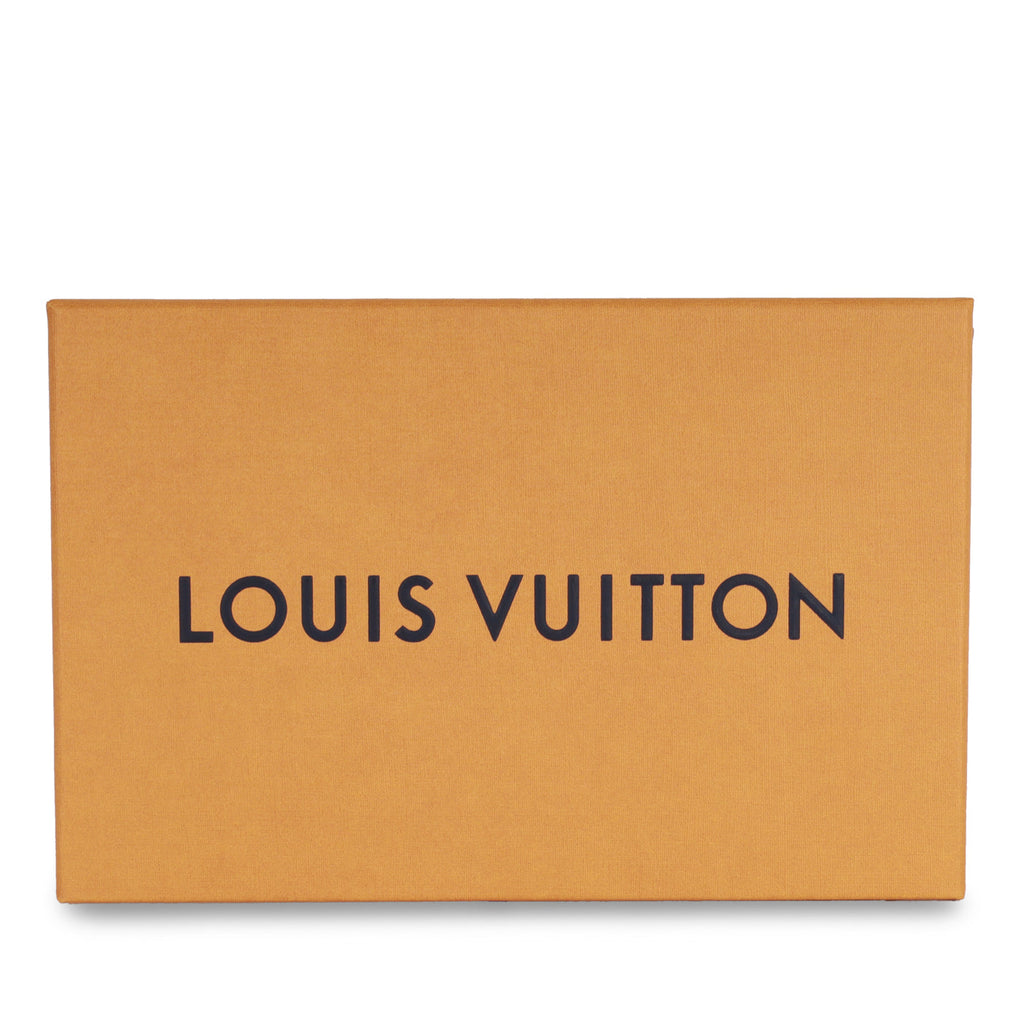 Louis Vuitton Mini Pochette Accessoires