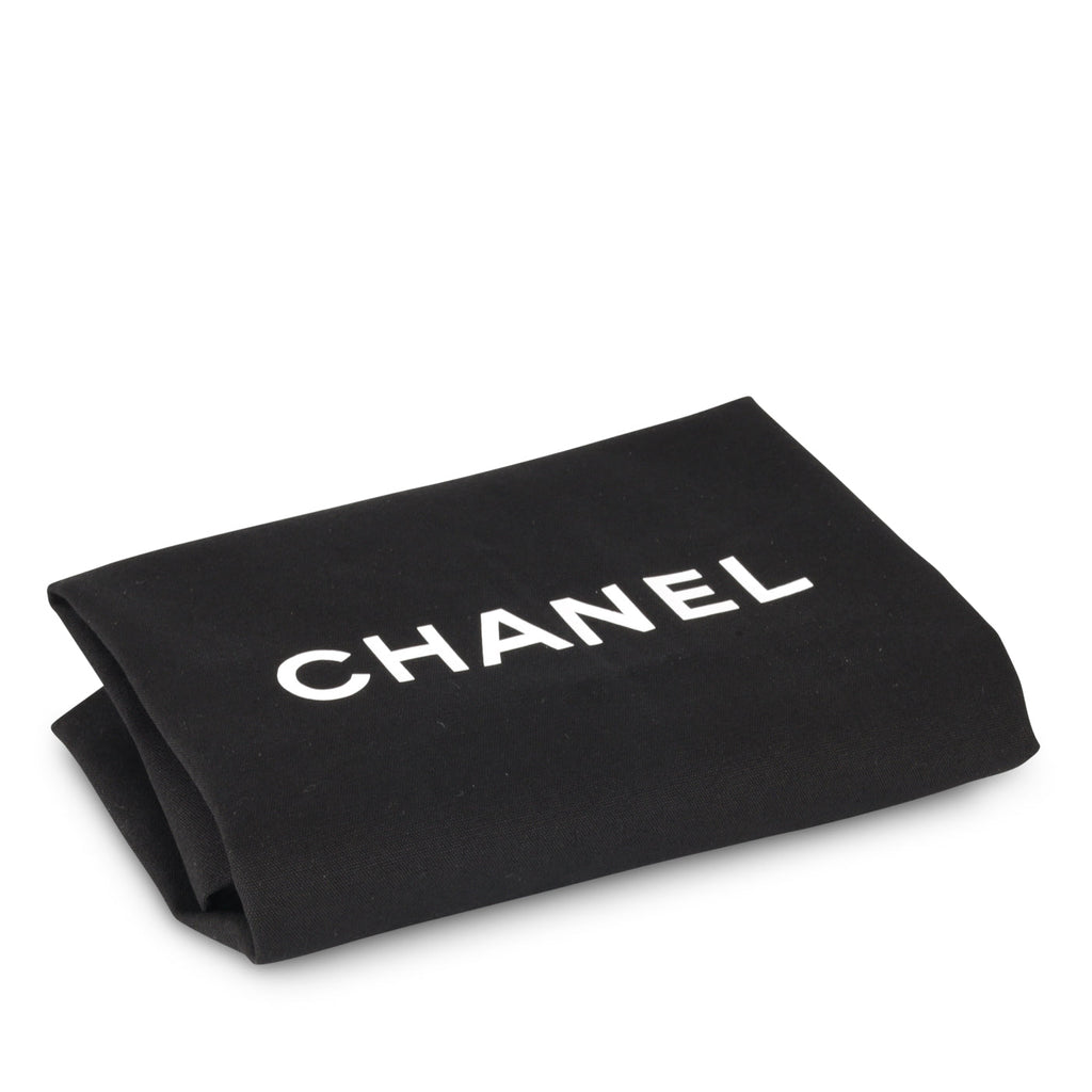 Classic Flap Bag - Mini Rectangular Top Handle