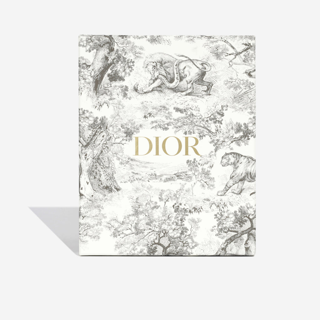 Christian Dior Mini Saddle Bag