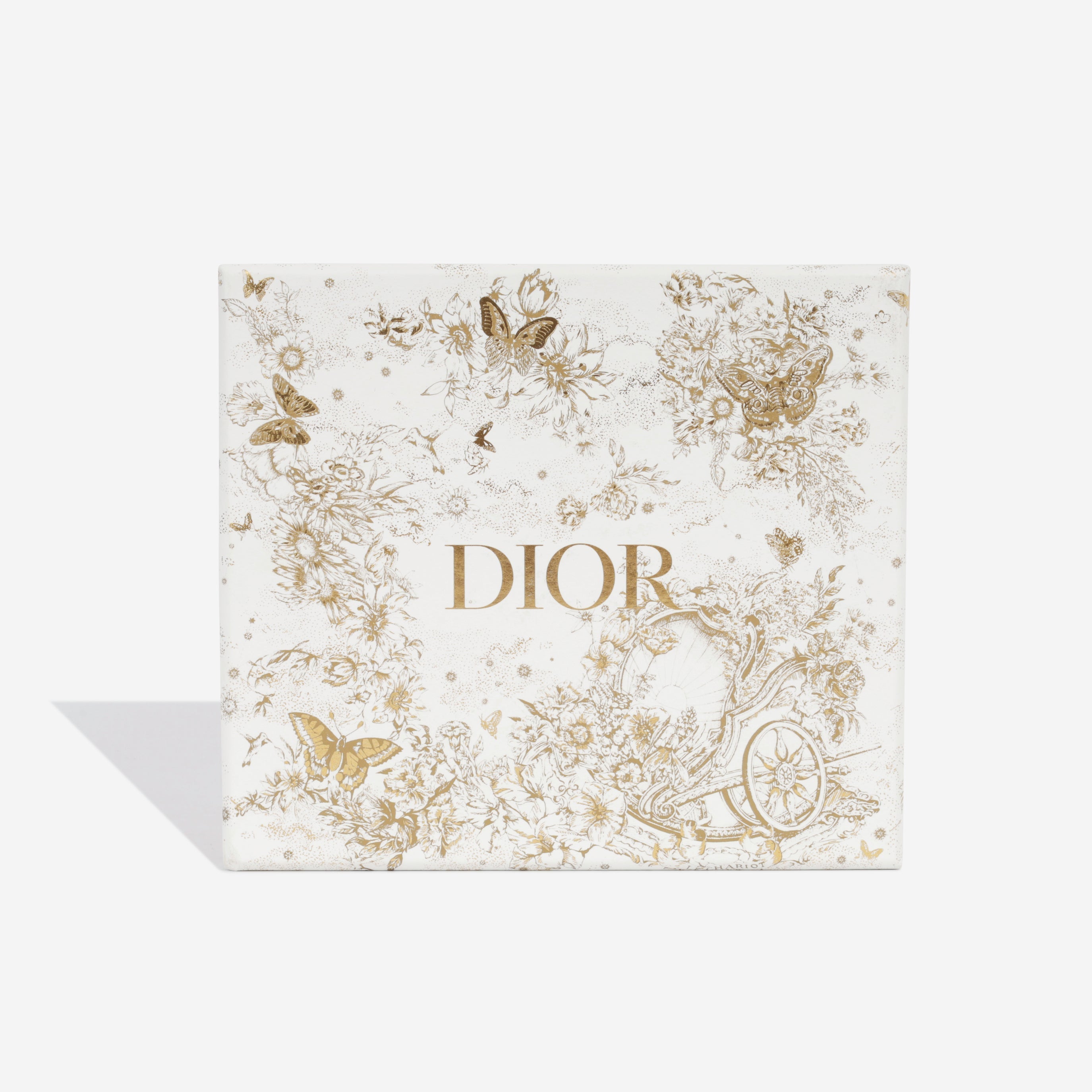 Lady Dior - Micro