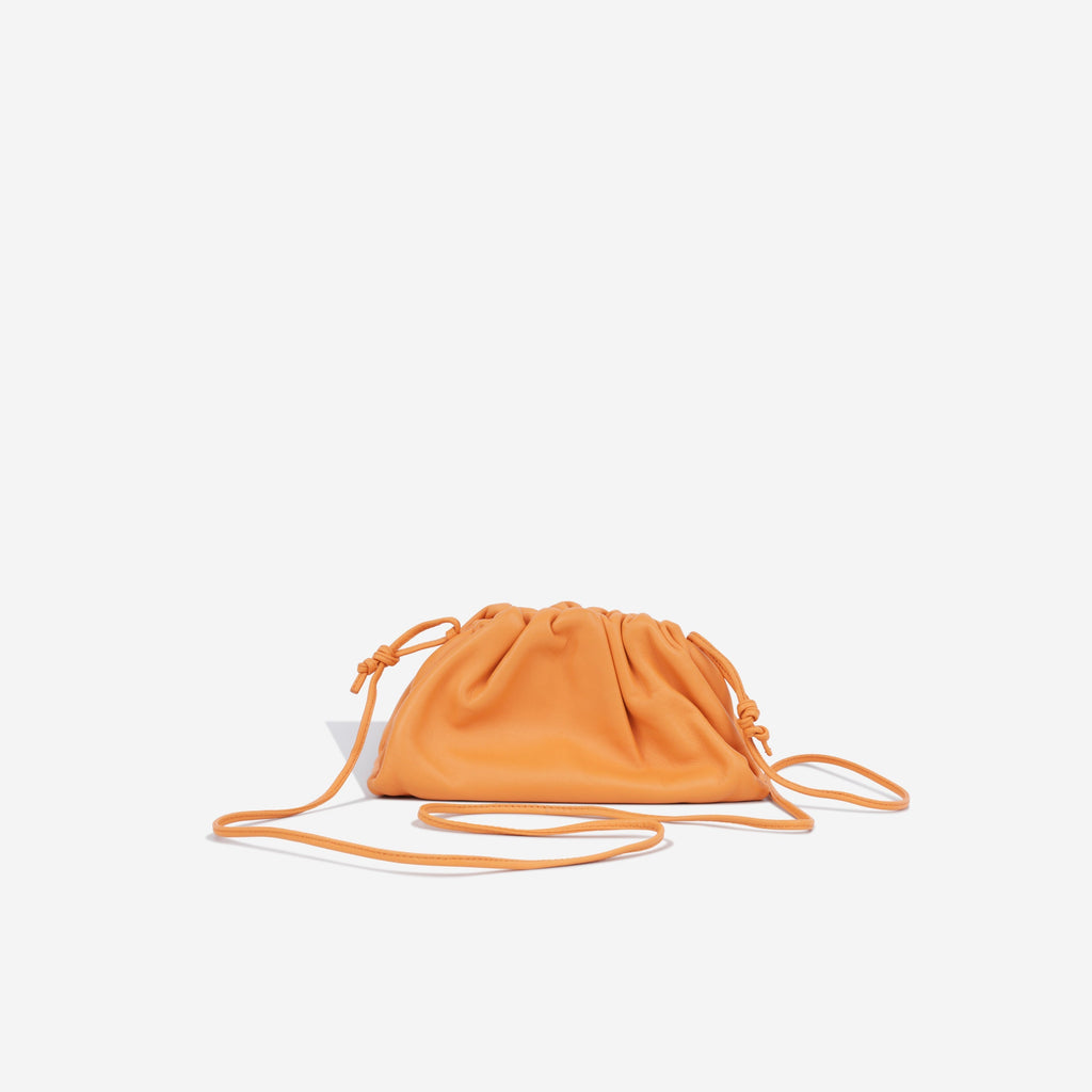 Bottega Veneta Mini Pouch