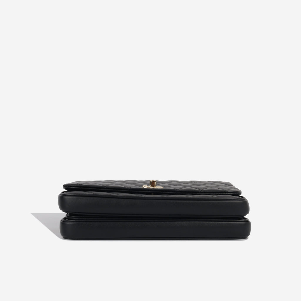 Top Handle Flap Bag