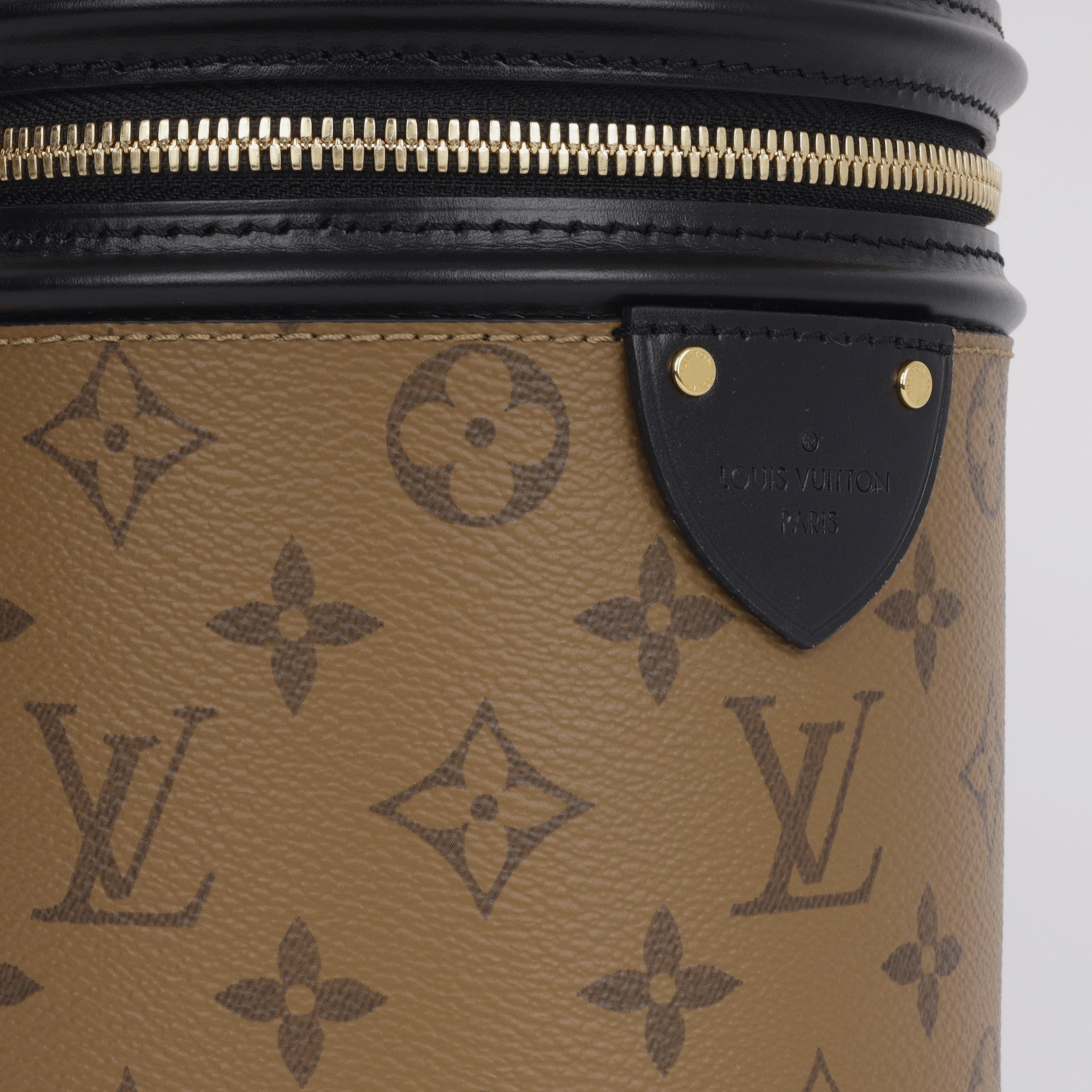 Louis Vuitton Cannes Bag