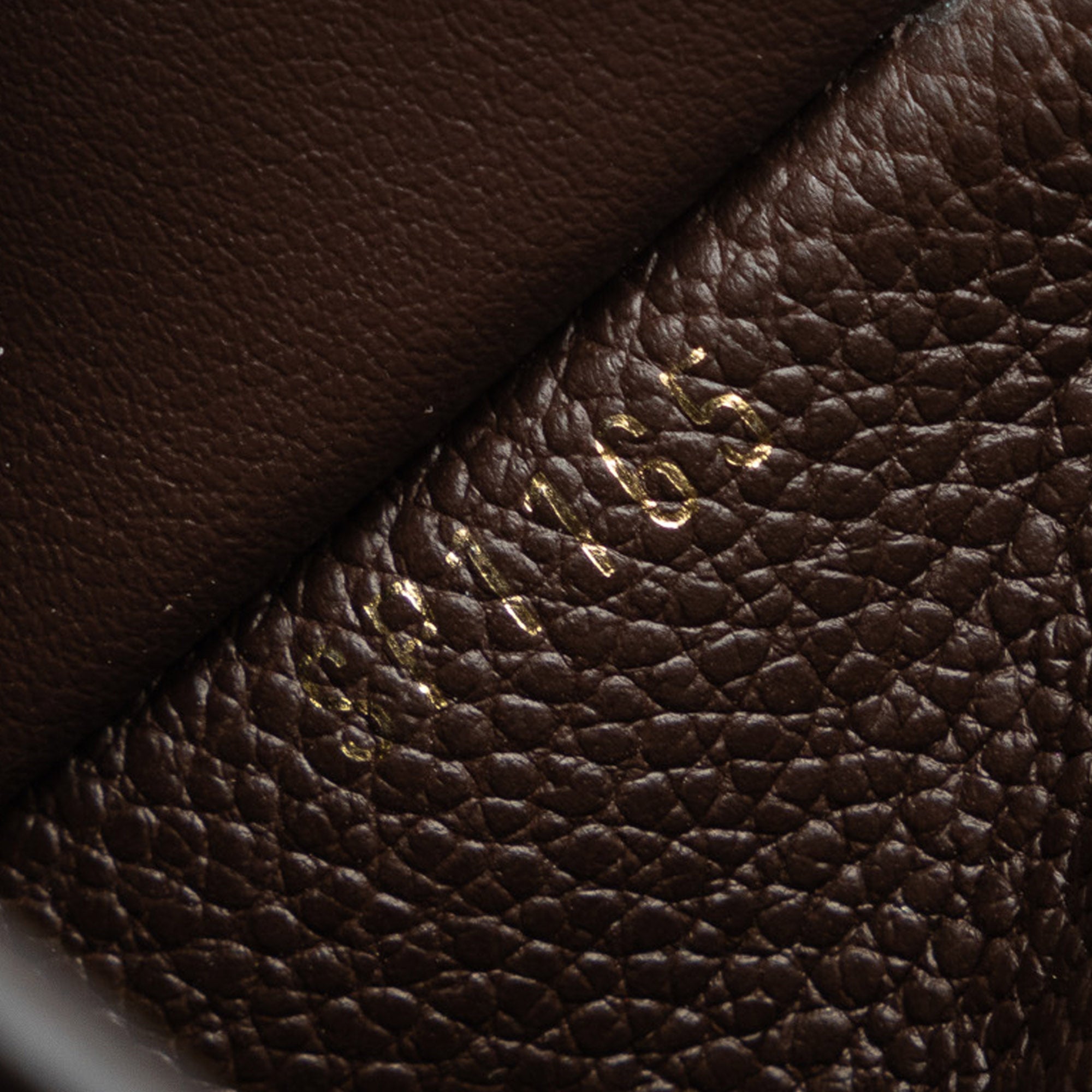 Brown Louis Vuitton Monogram Empreinte Portefeuille Curieuse Wallet