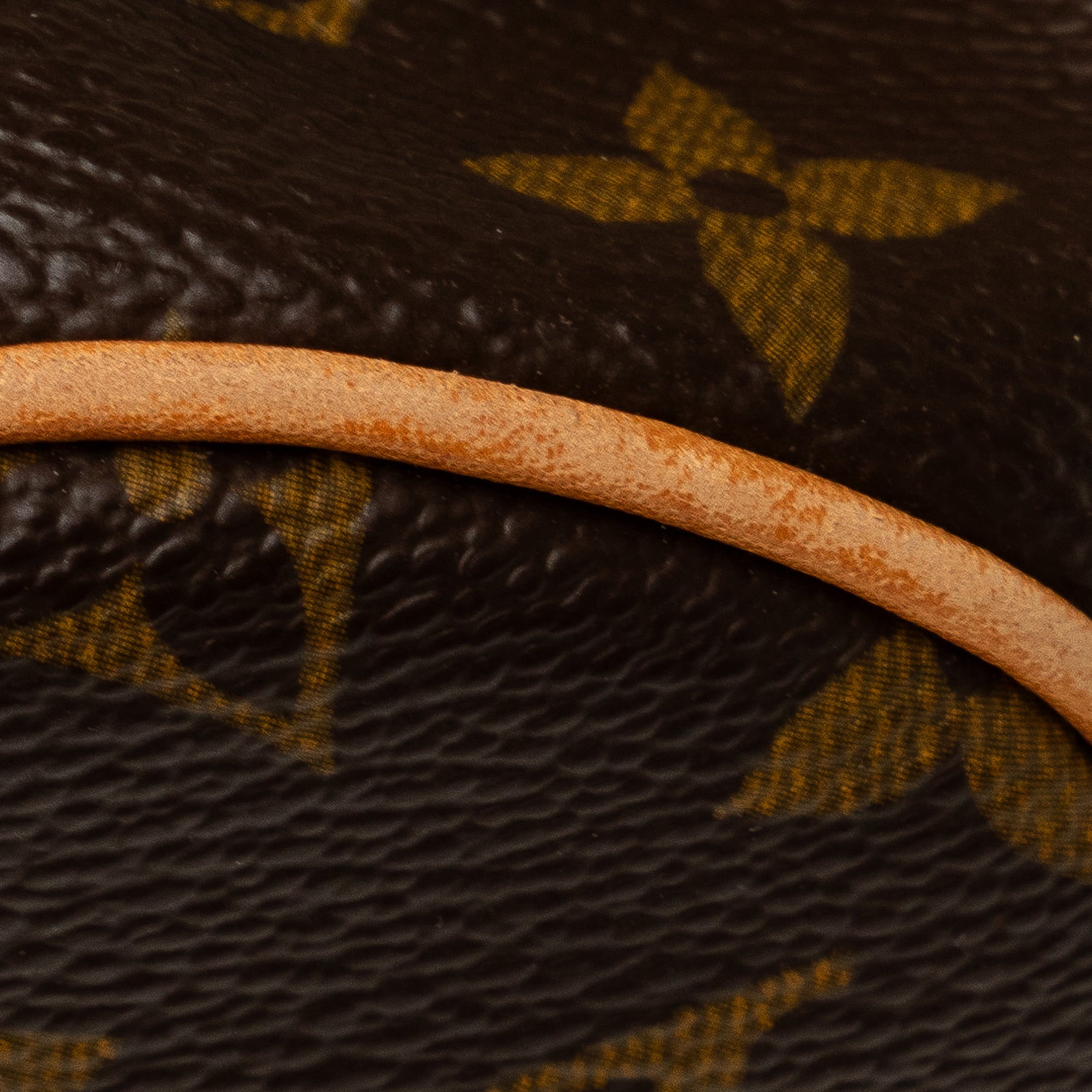 Brown Louis Vuitton Monogram Theda PM Handbag
