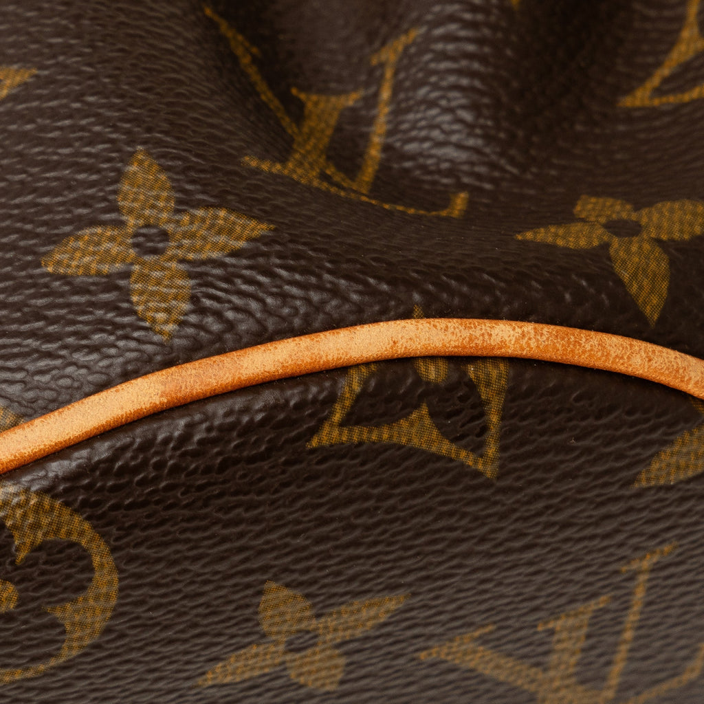 Brown Louis Vuitton Monogram Theda PM Handbag