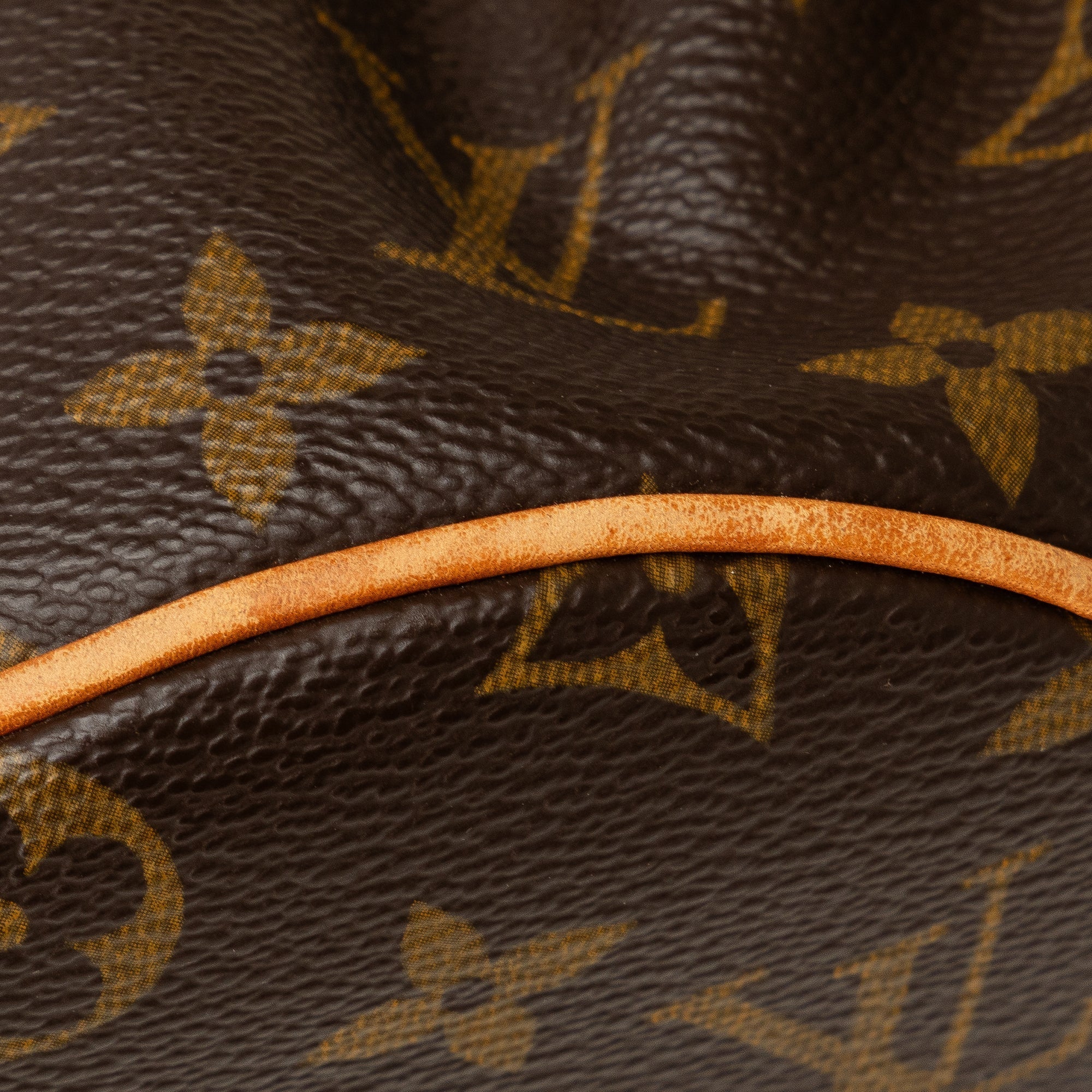 Brown Louis Vuitton Monogram Theda PM Handbag
