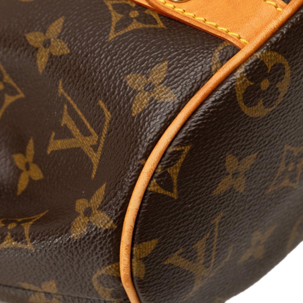 Brown Louis Vuitton Monogram Theda PM Handbag