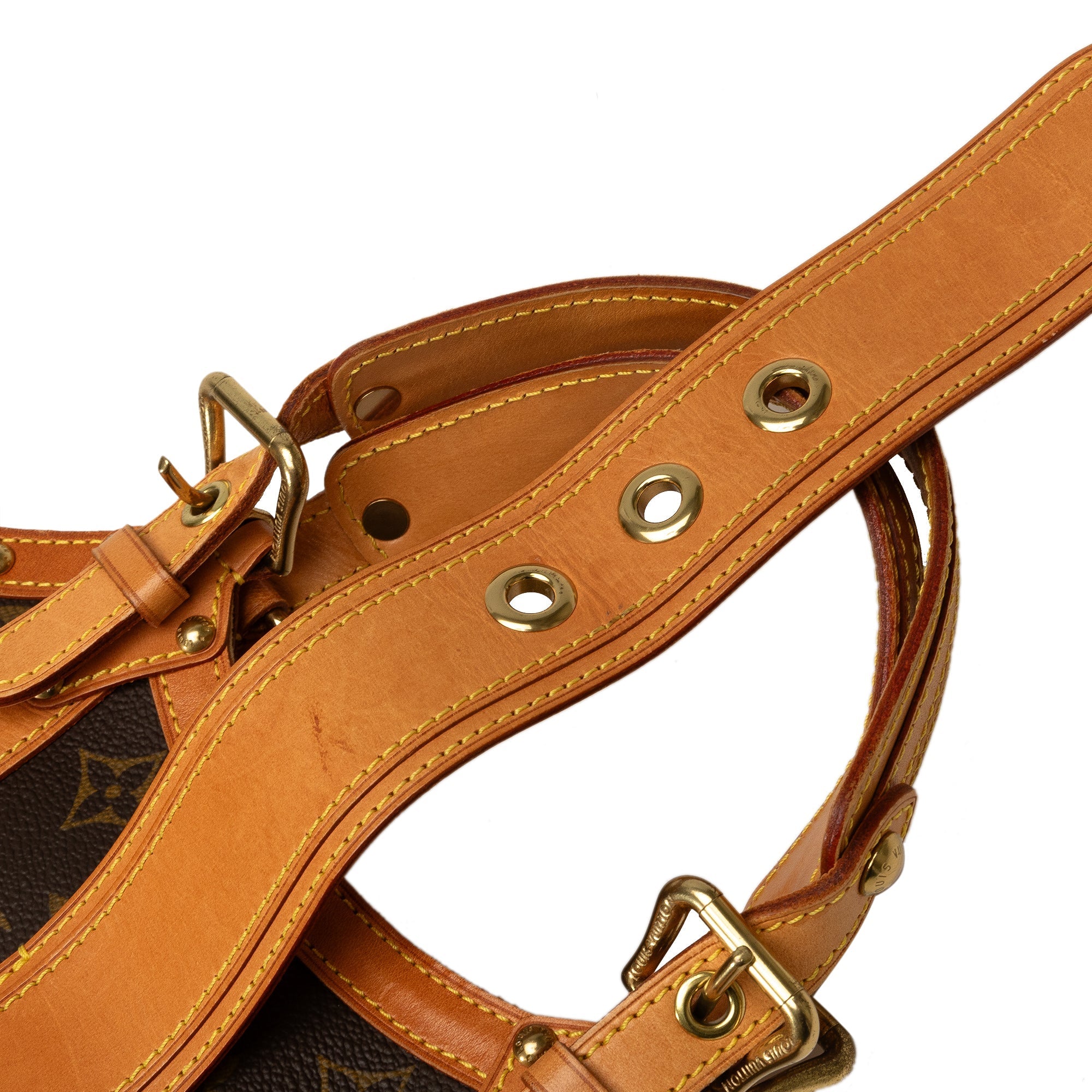 Brown Louis Vuitton Monogram Theda PM Handbag