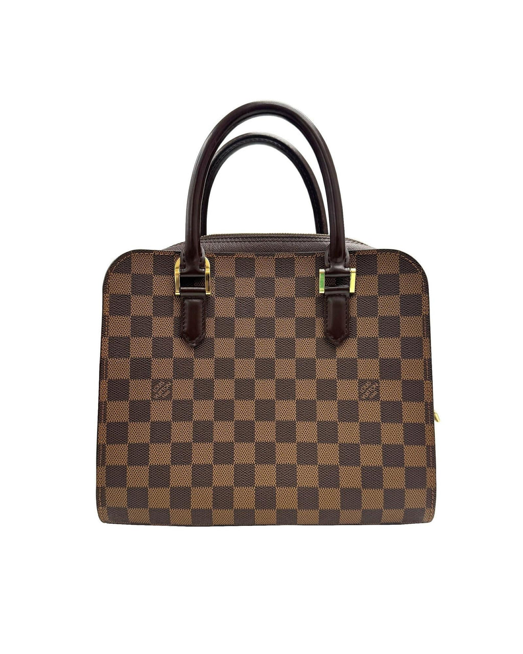 Canvas Triana Bag with Dust Bag and Slight Wear