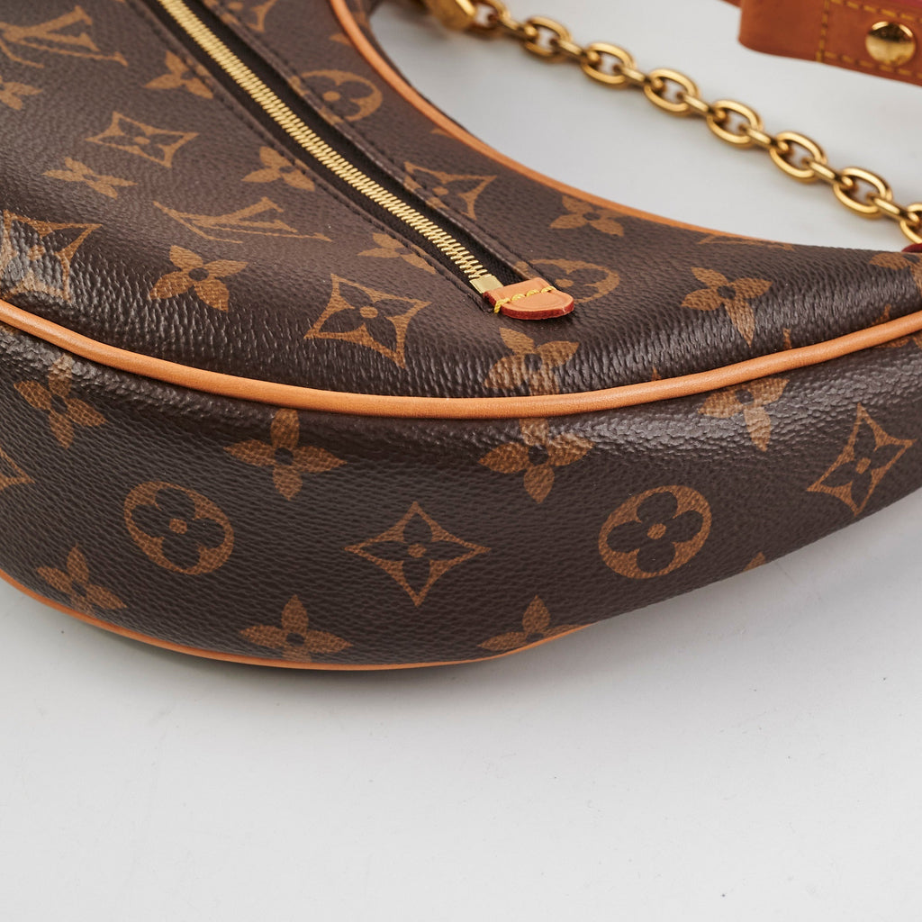 Louis Vuitton Loop Monogram Bag