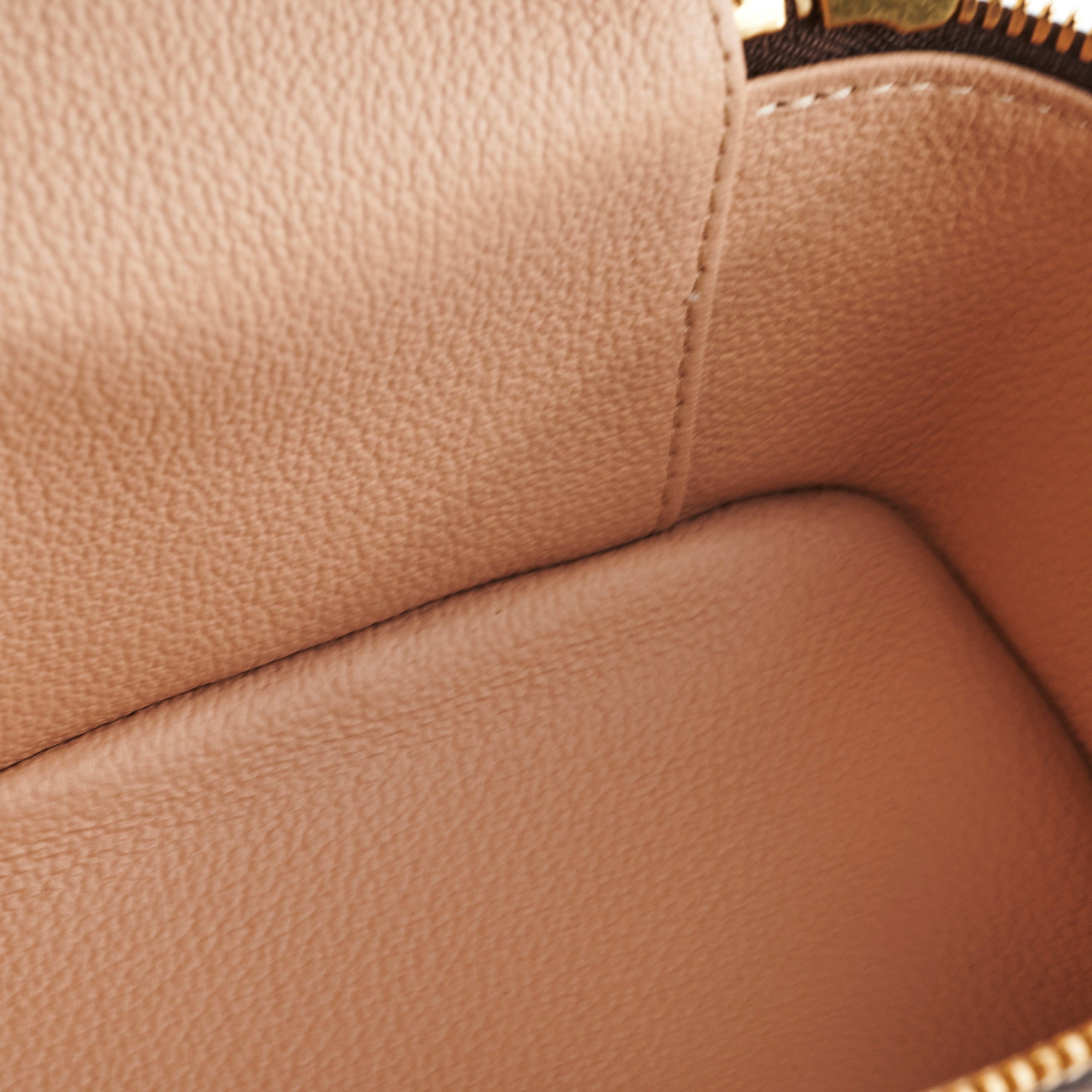 Louis Vuitton Nano Nice Monogram